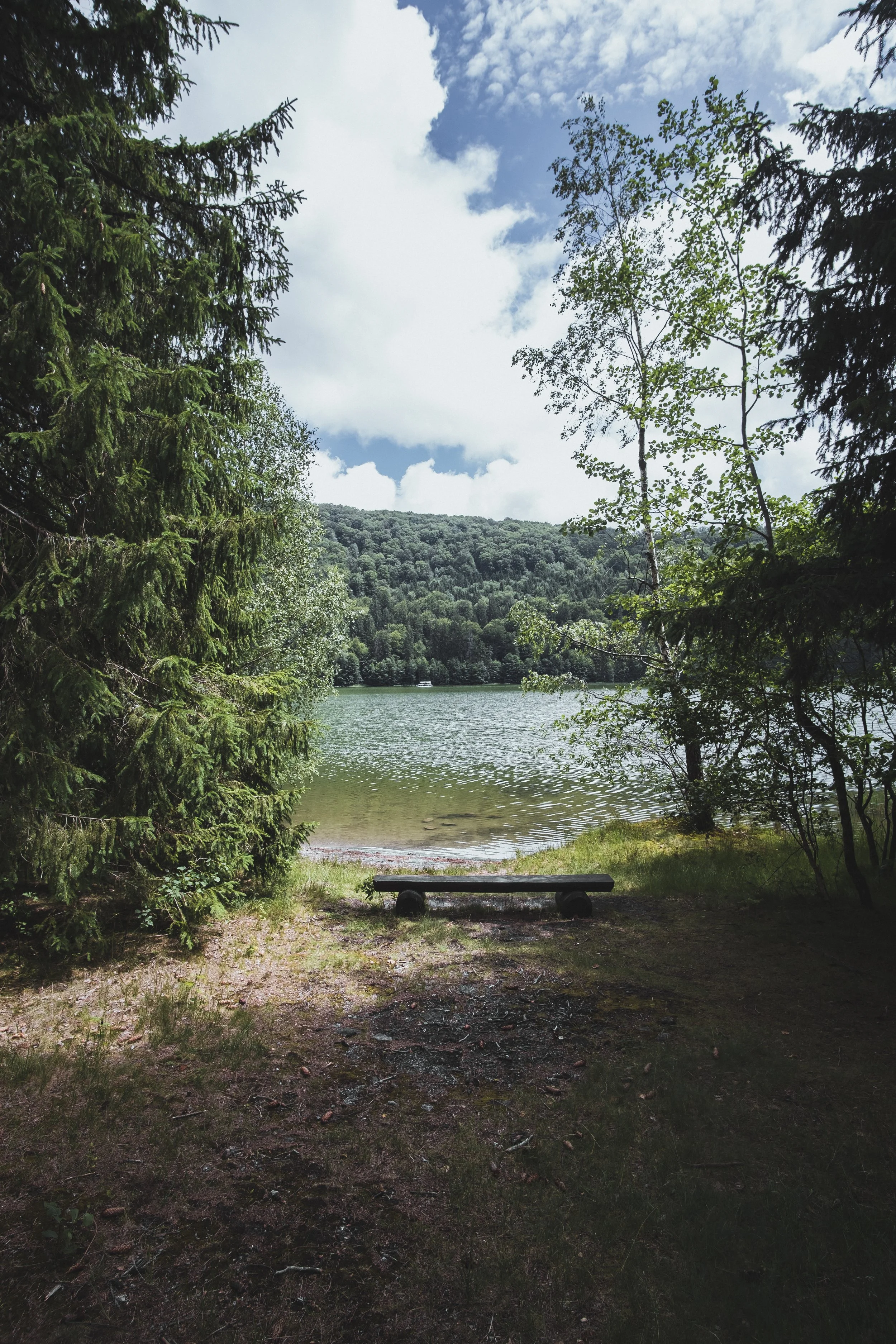 DSCF9099.jpg