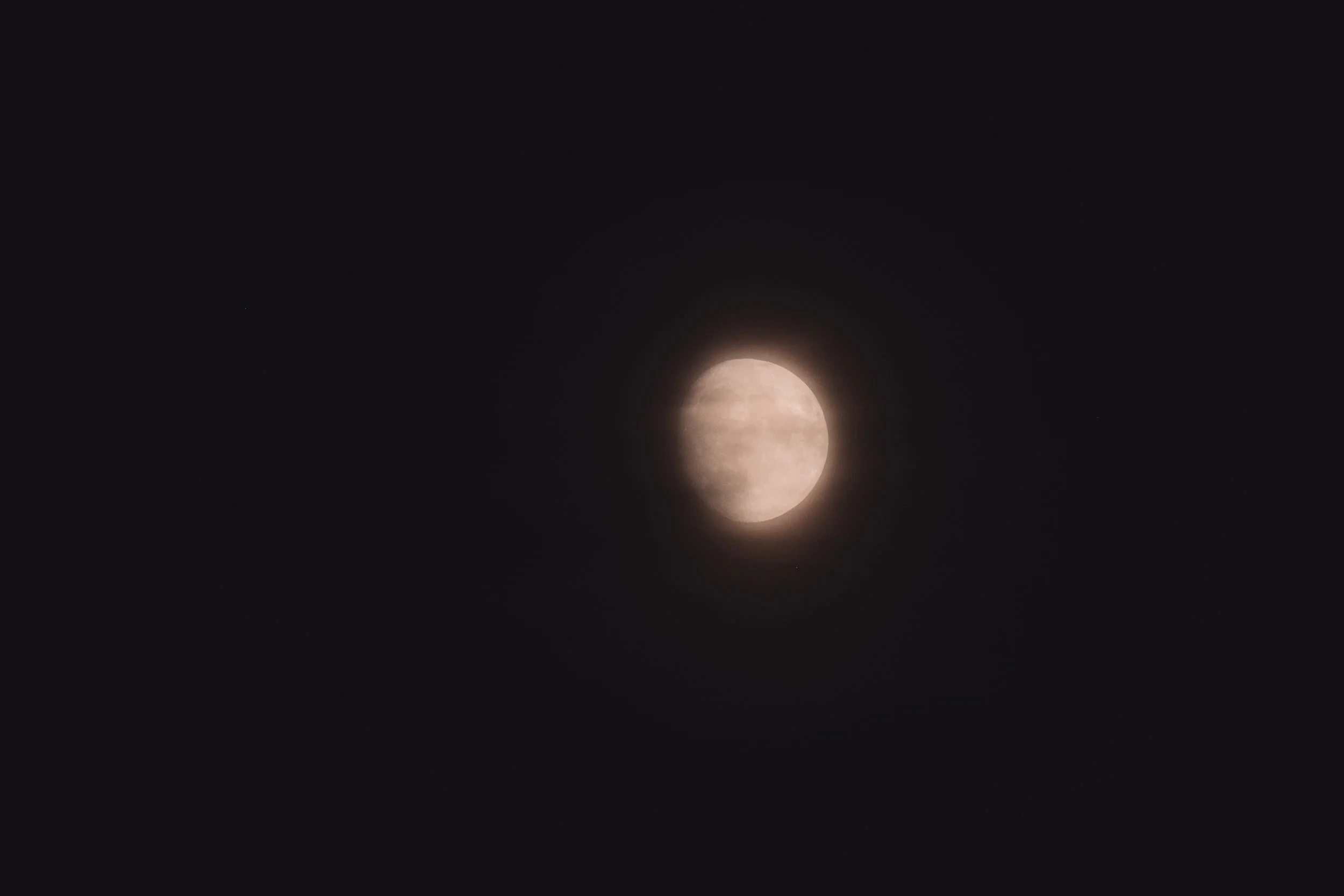 DSCF9121.jpg