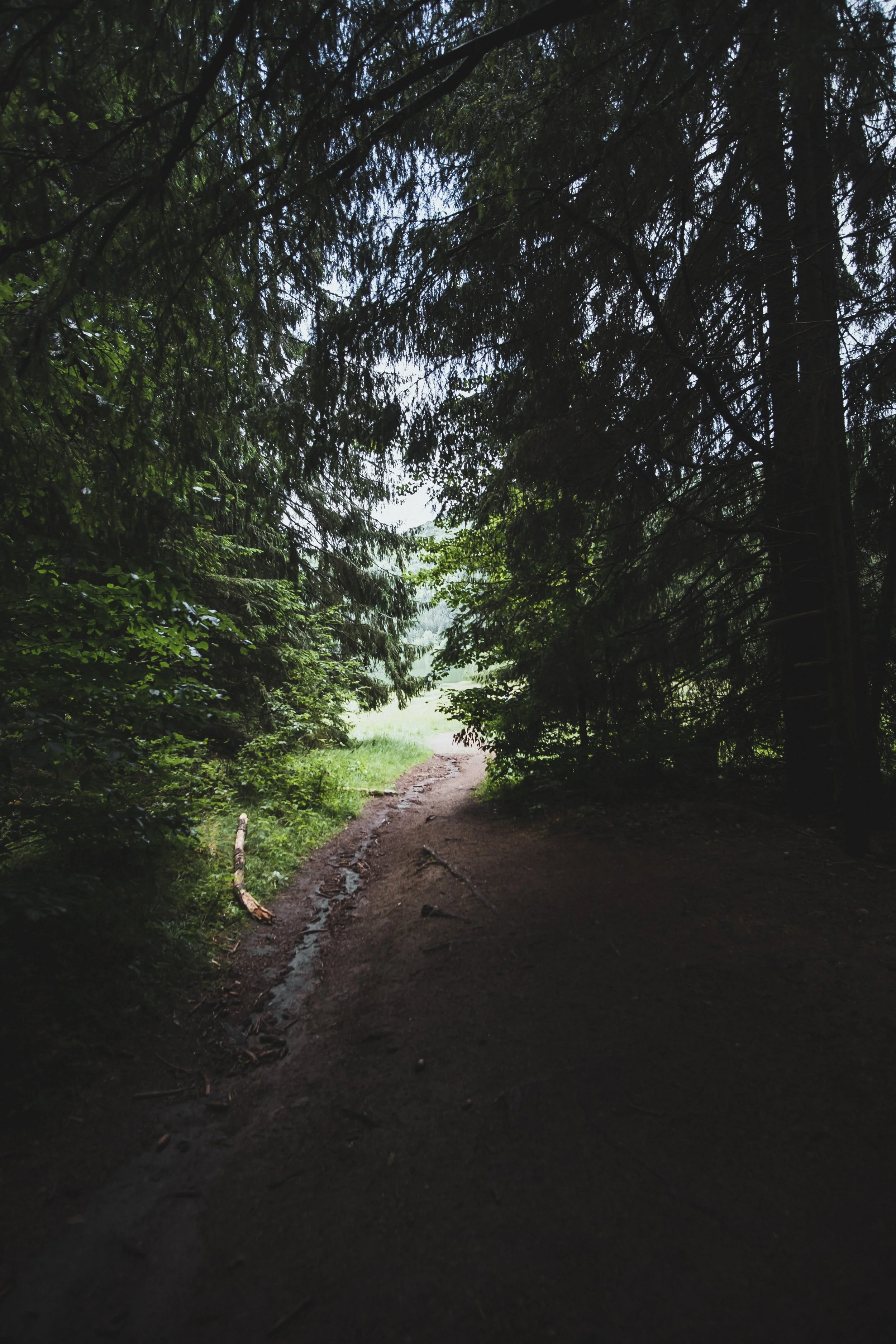 DSCF9054.jpg