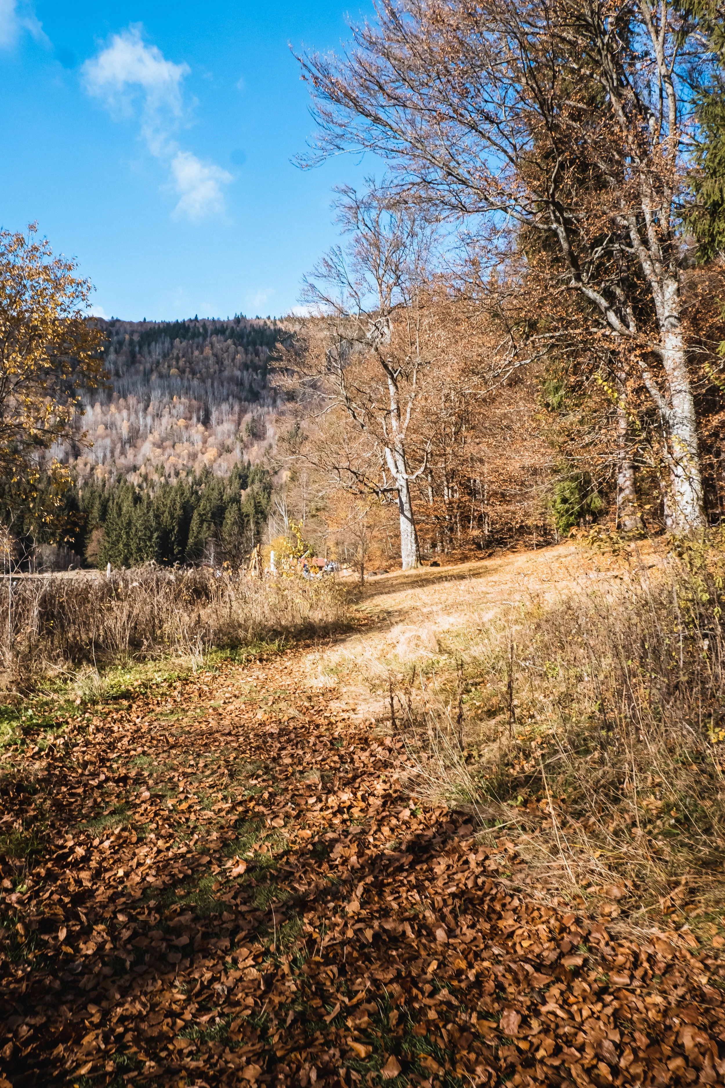 DSCF9437.jpg