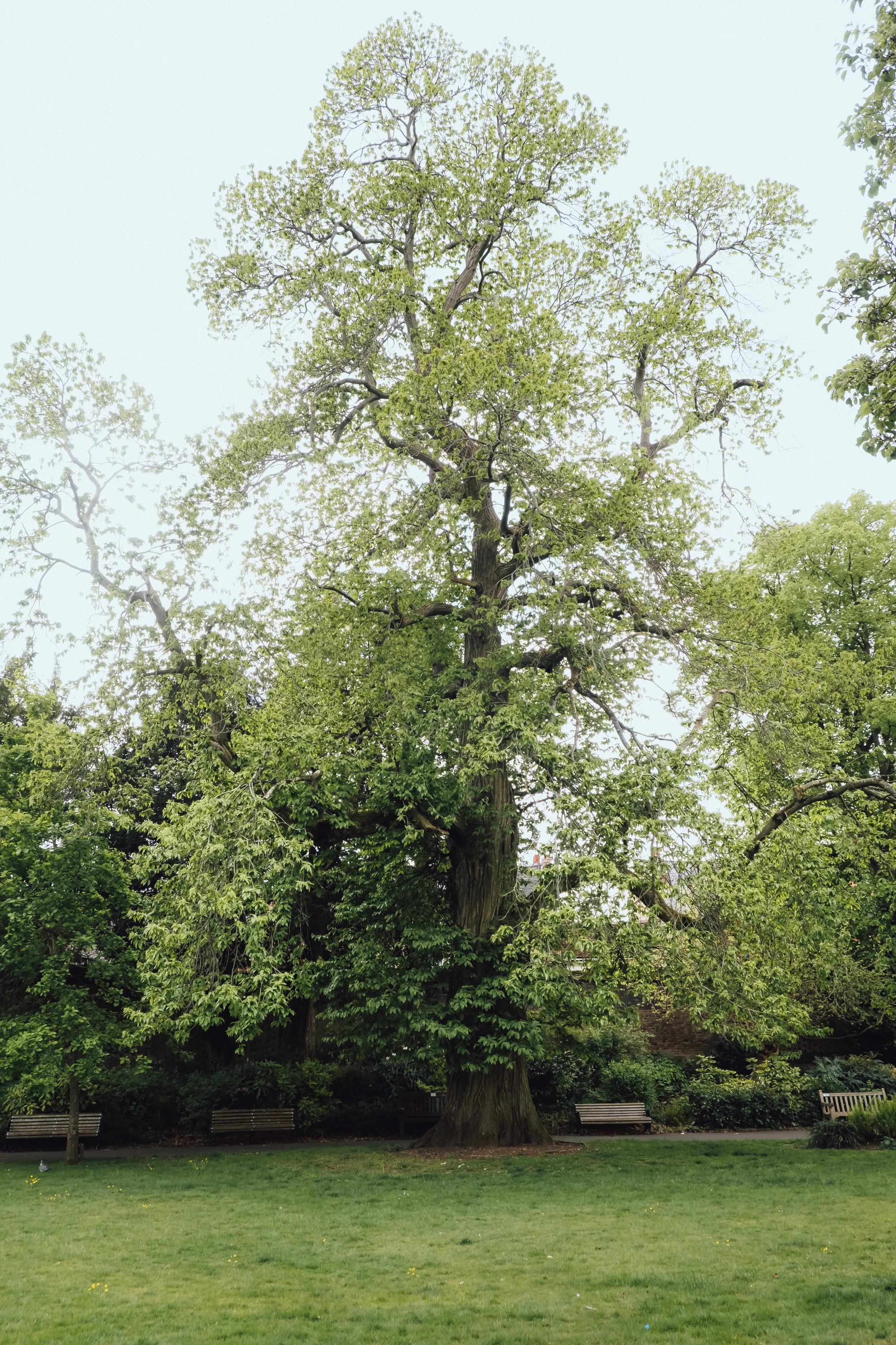 DSCF2619.jpg