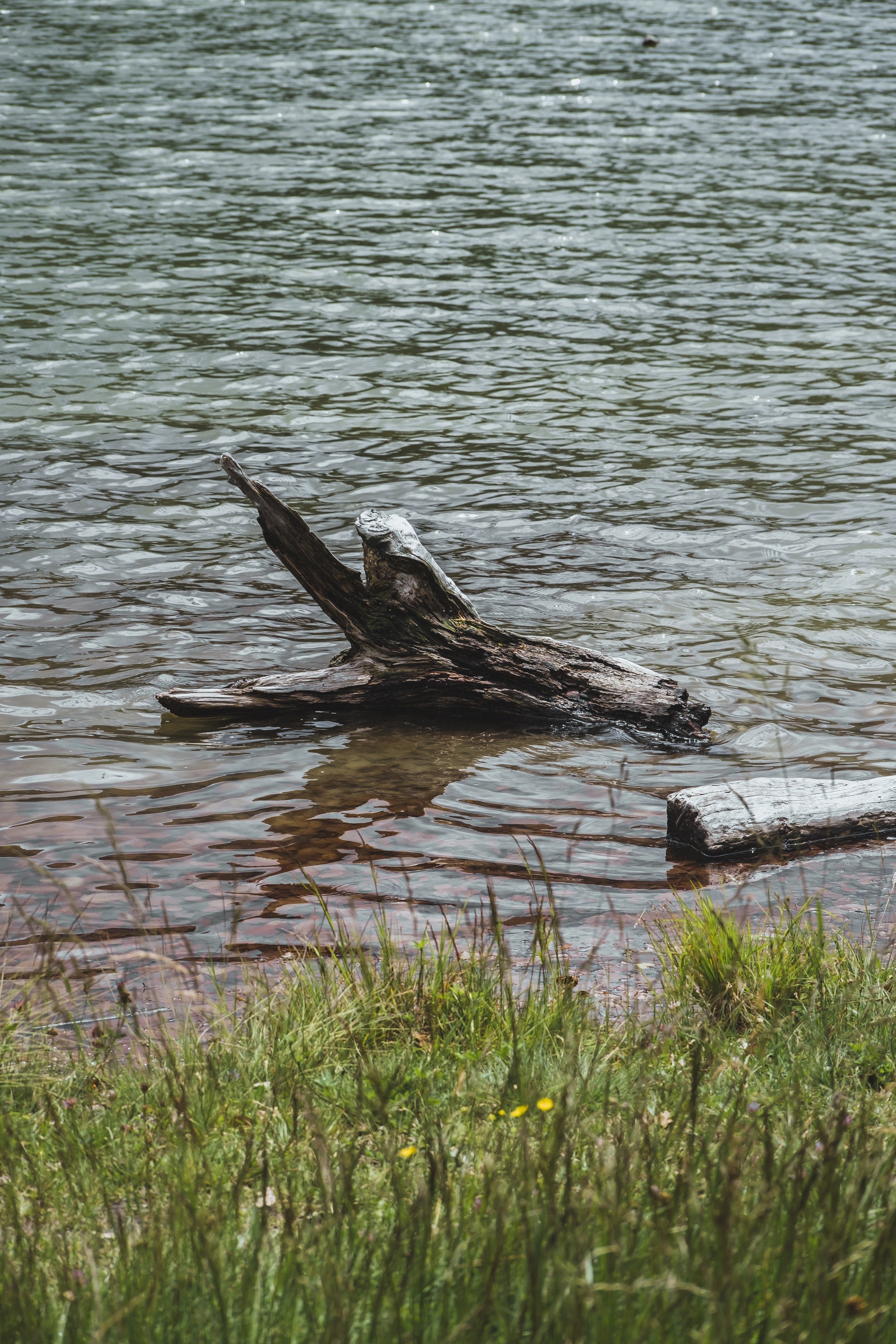 DSCF9081.jpg