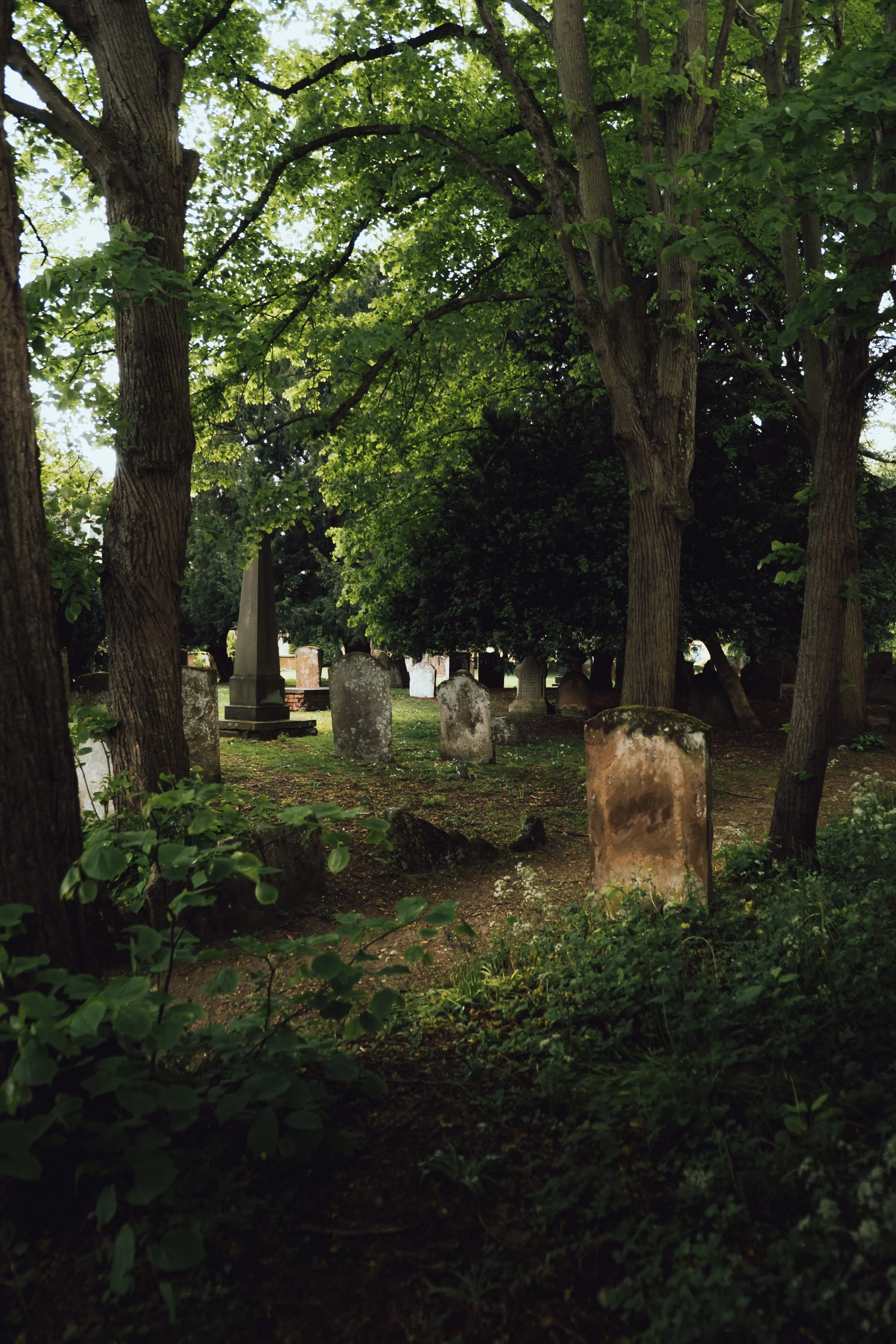 DSCF3553.jpg