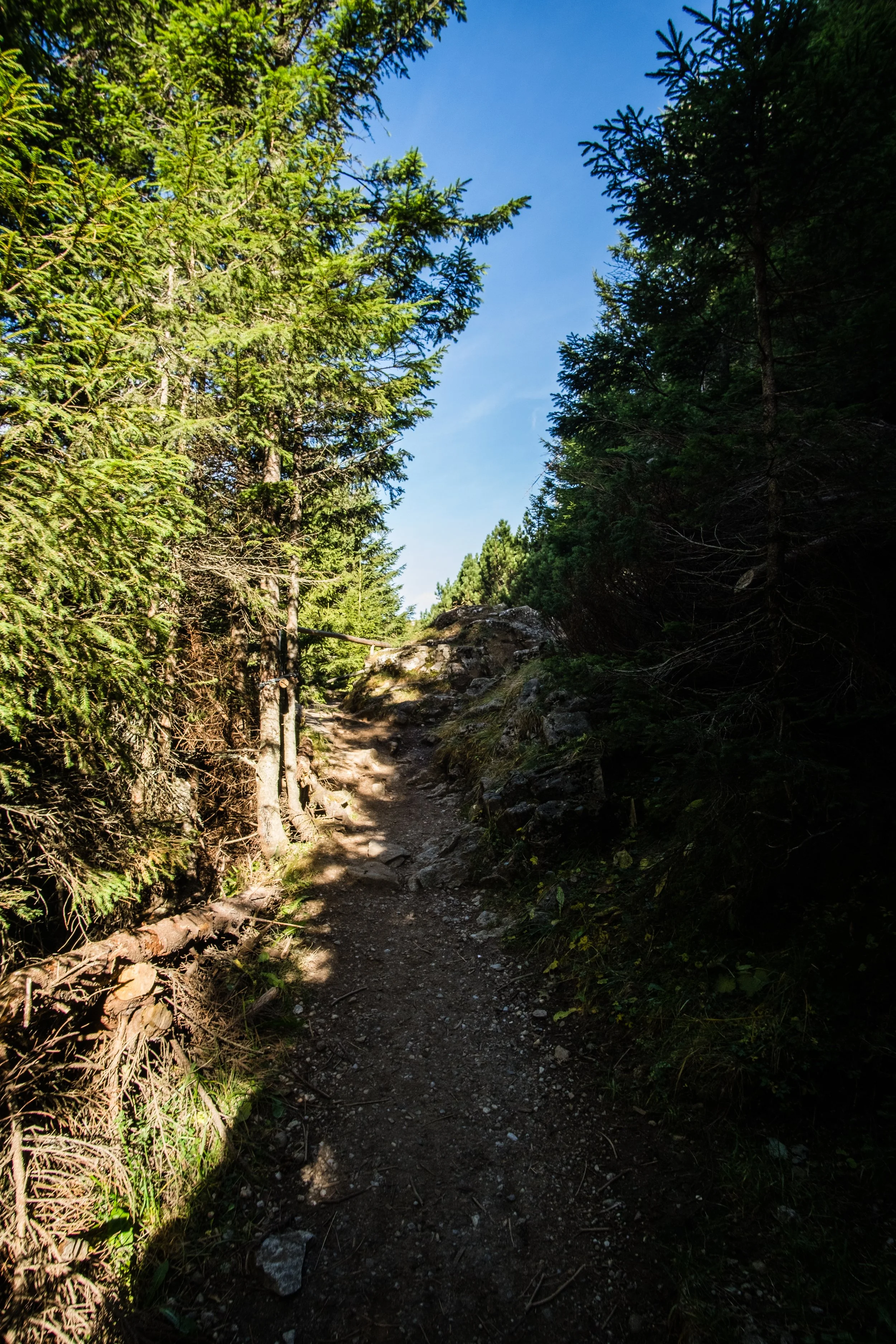 DSCF0069.jpg