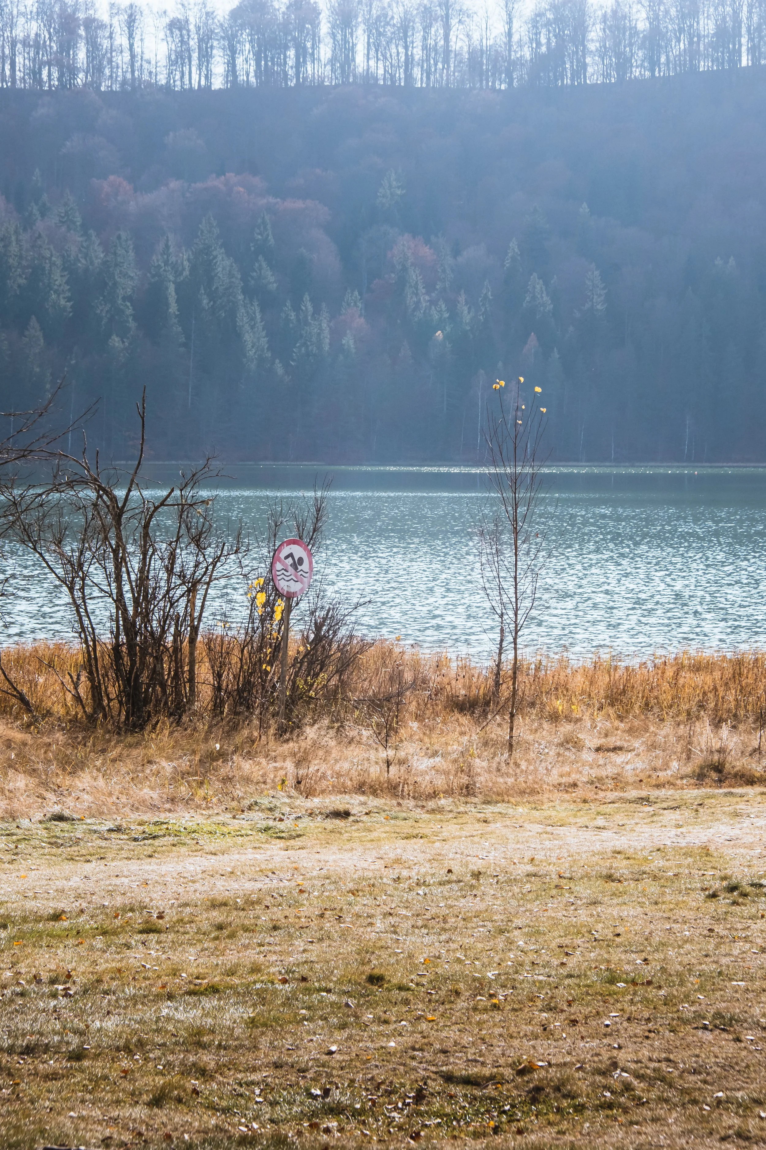 DSCF9333.jpg