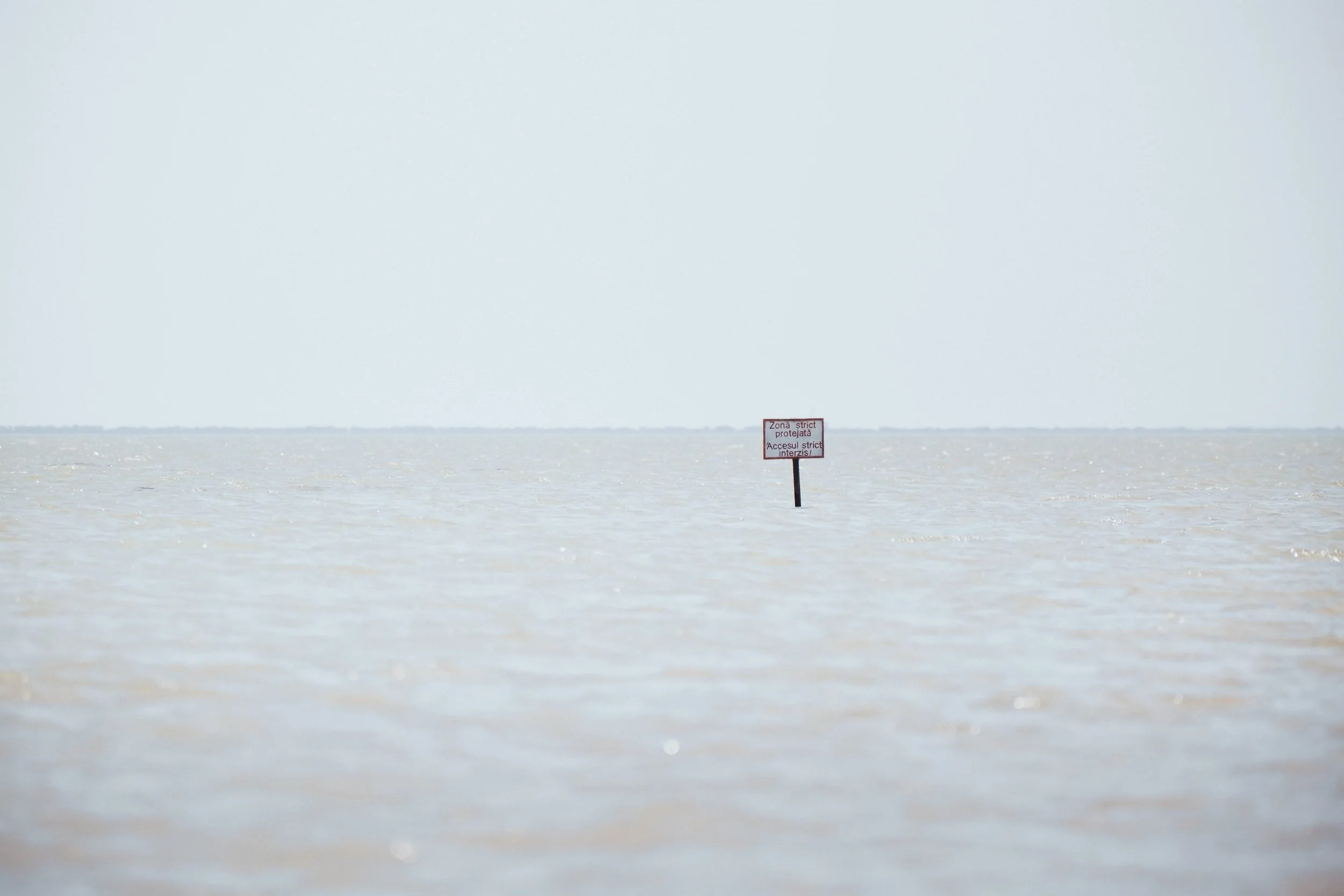 DSCF6511.jpg