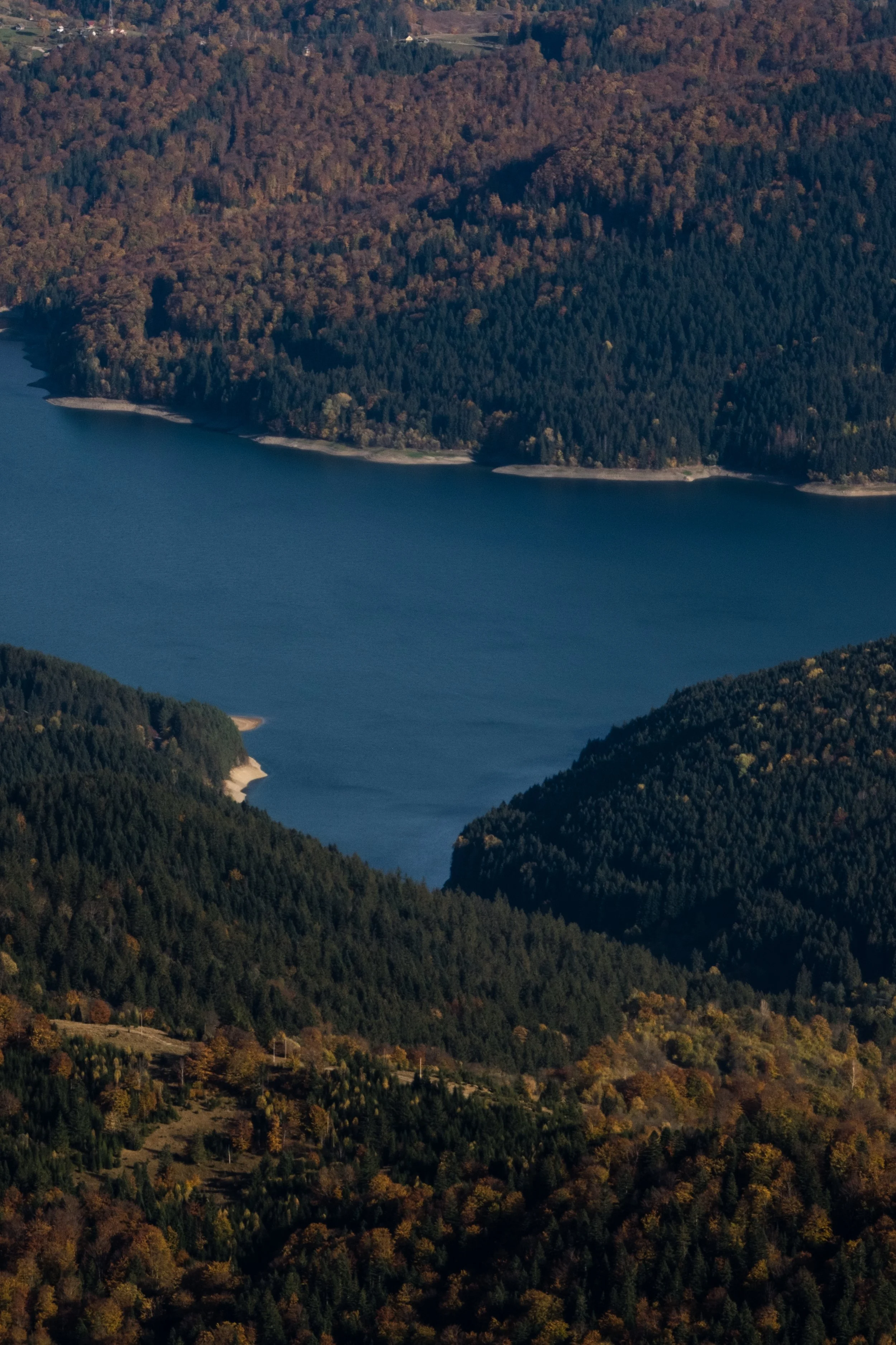 DSCF0360.jpg