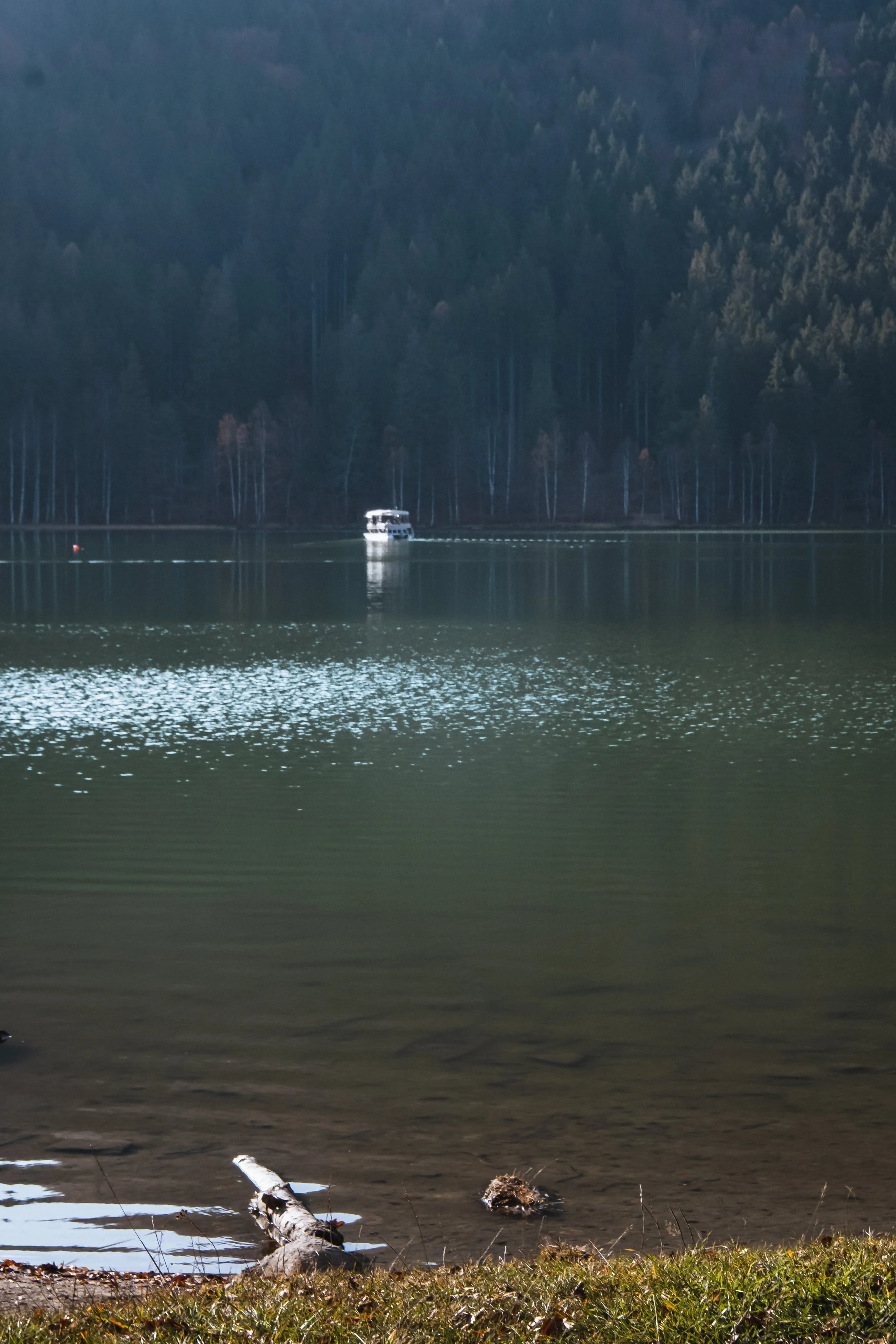 DSCF9449.jpg