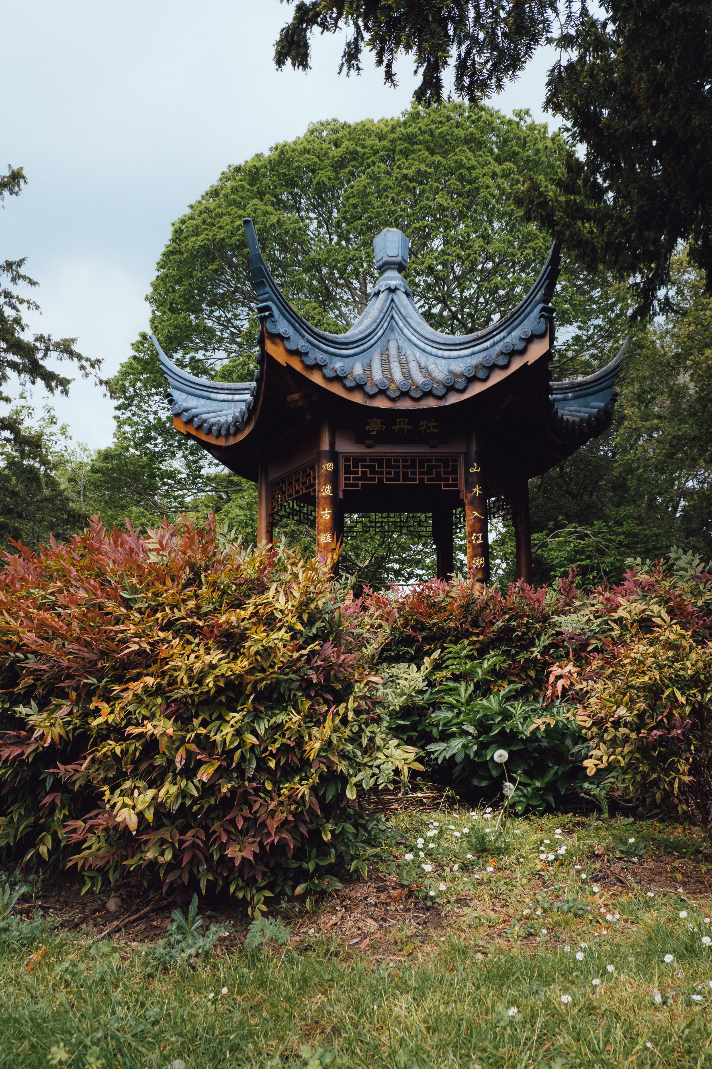 DSCF3574.jpg