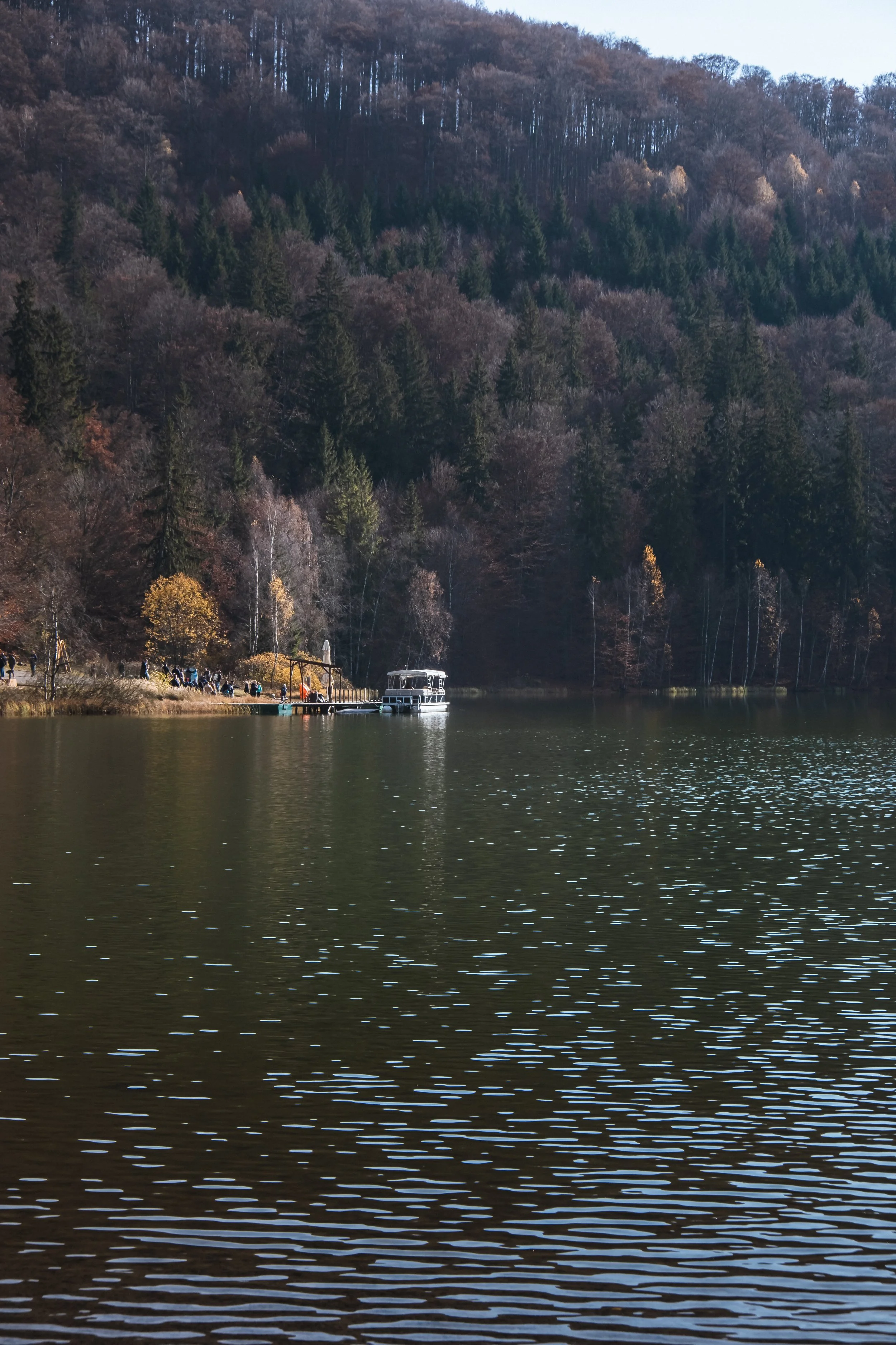 DSCF9336.jpg