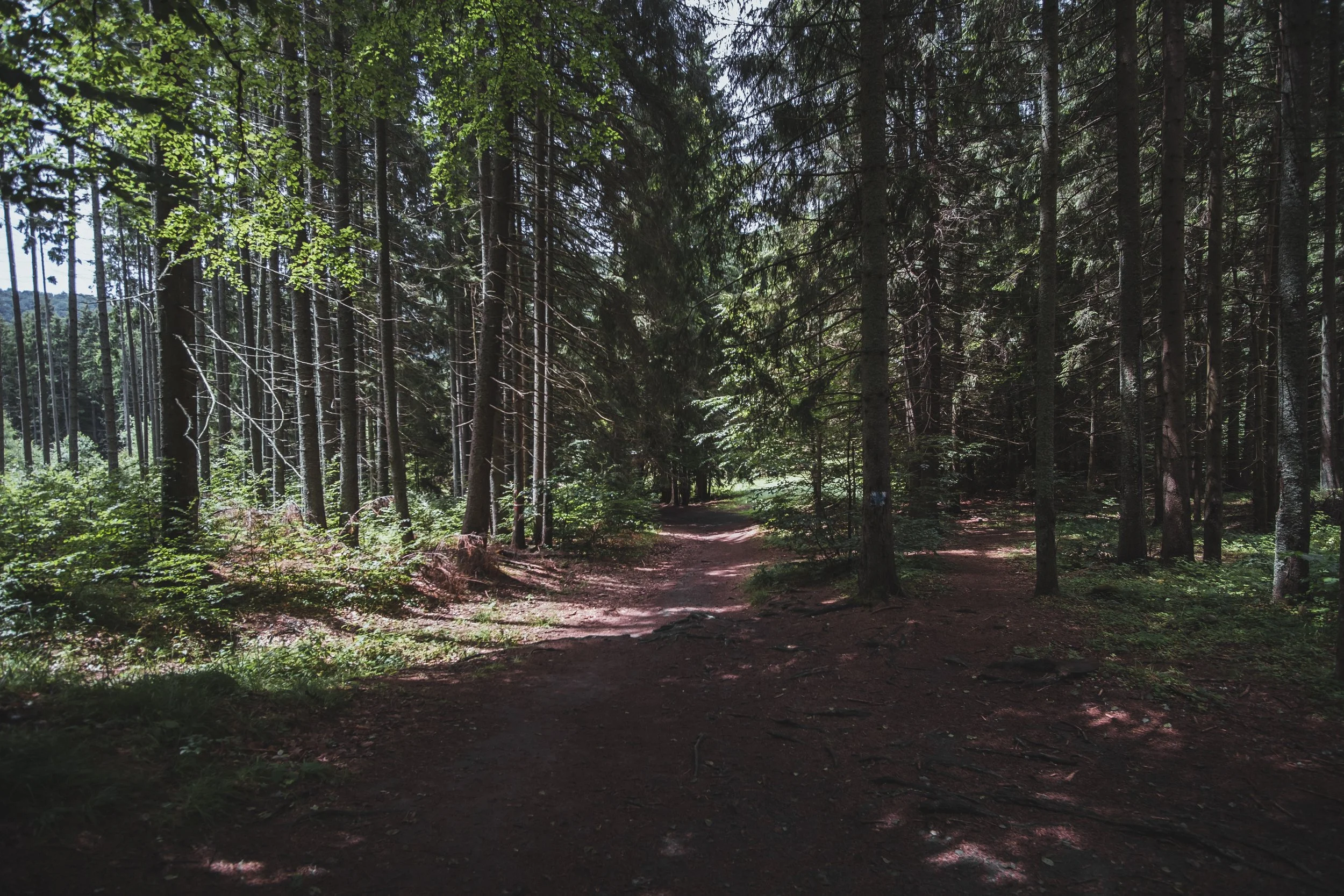 DSCF9051.jpg