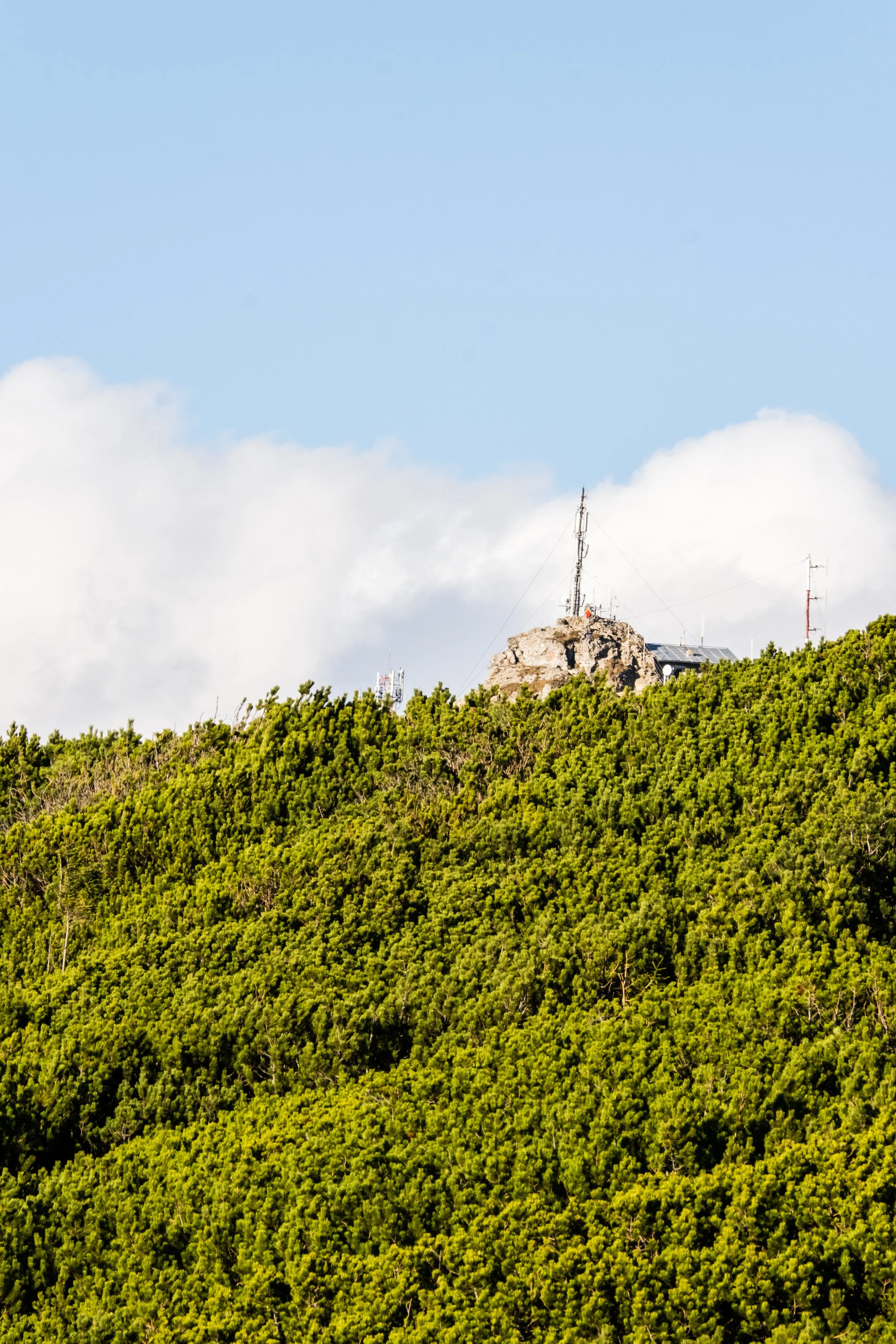 DSCF0517.jpg