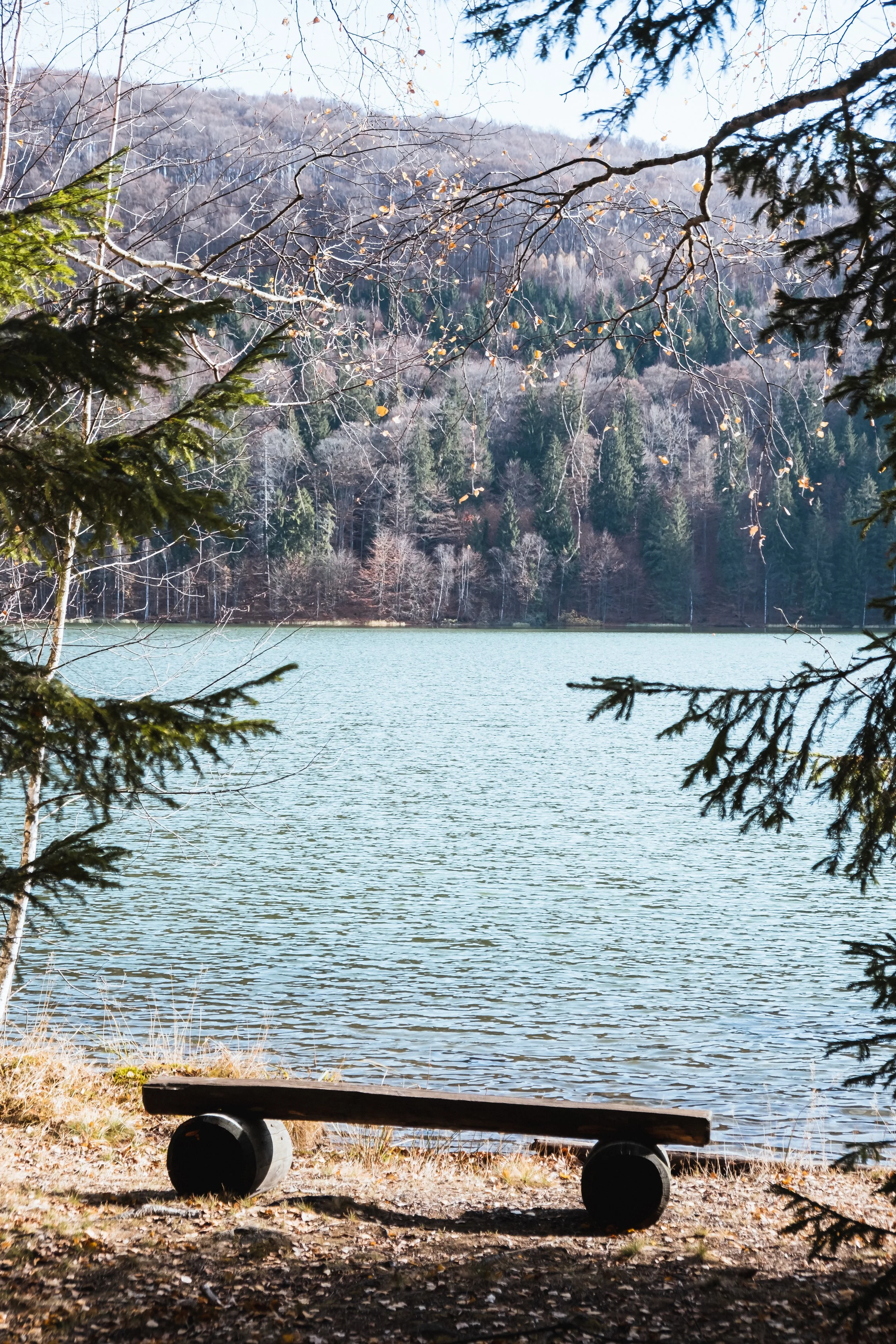 DSCF9370.jpg