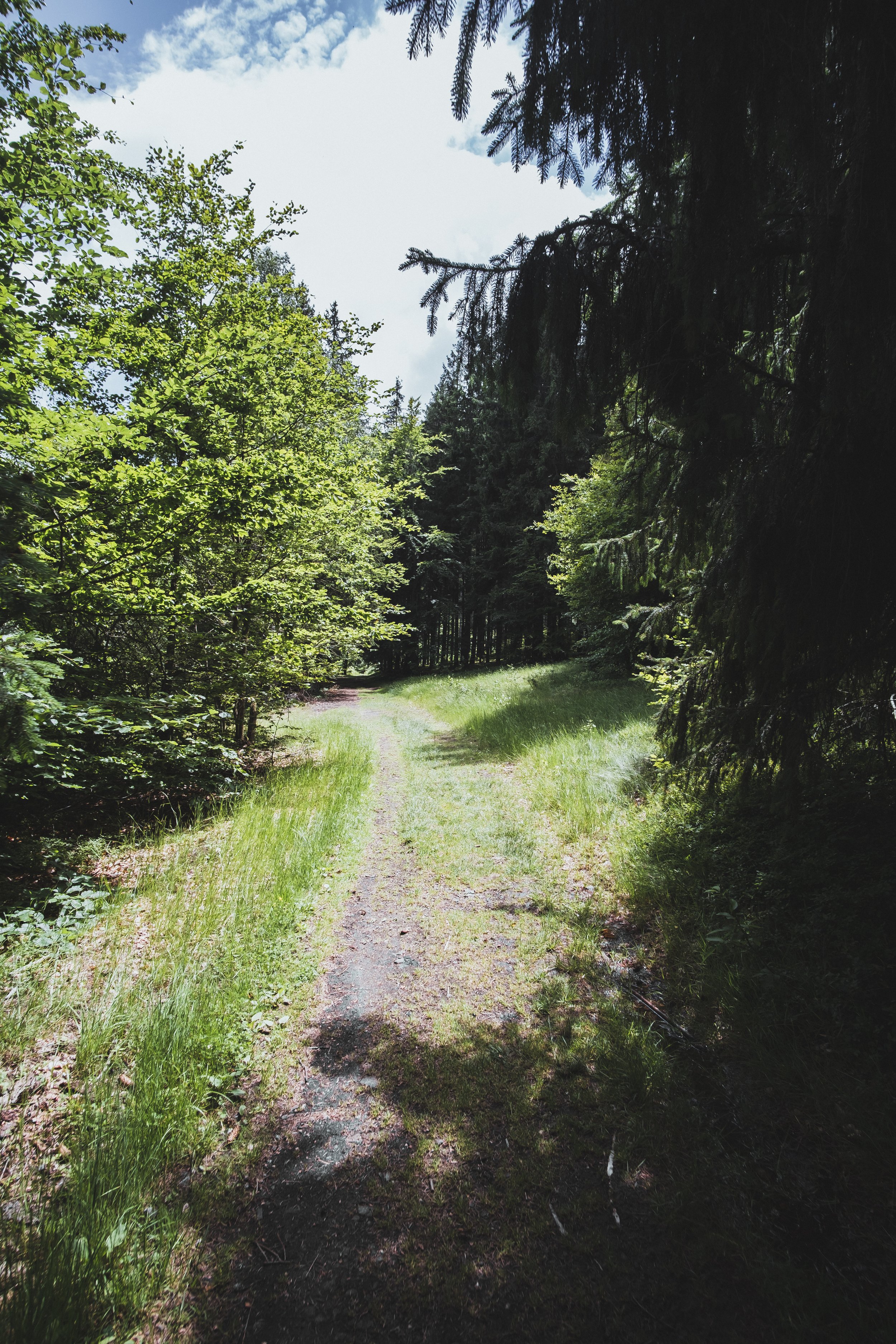 DSCF9119.jpg