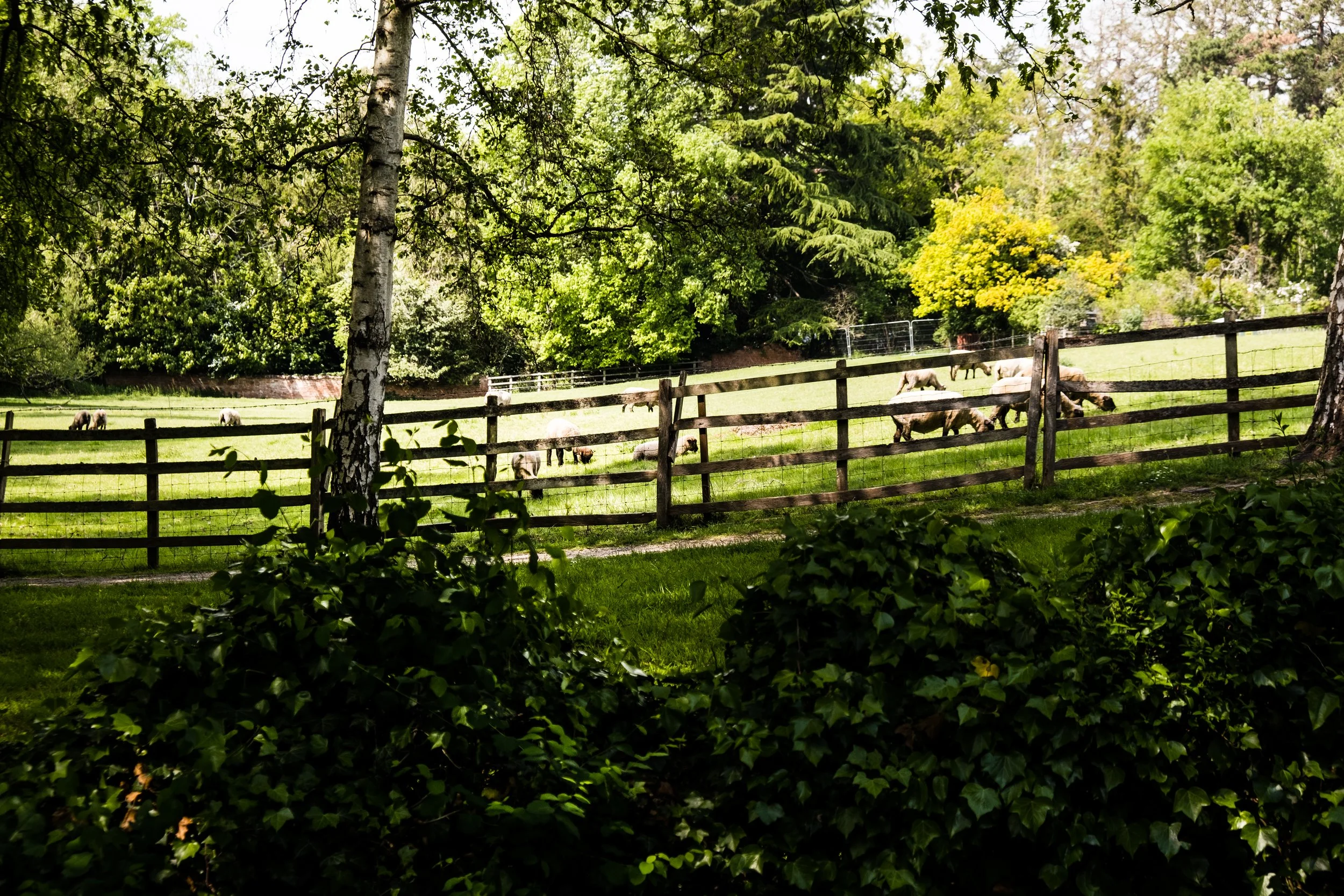 DSCF3594.jpg