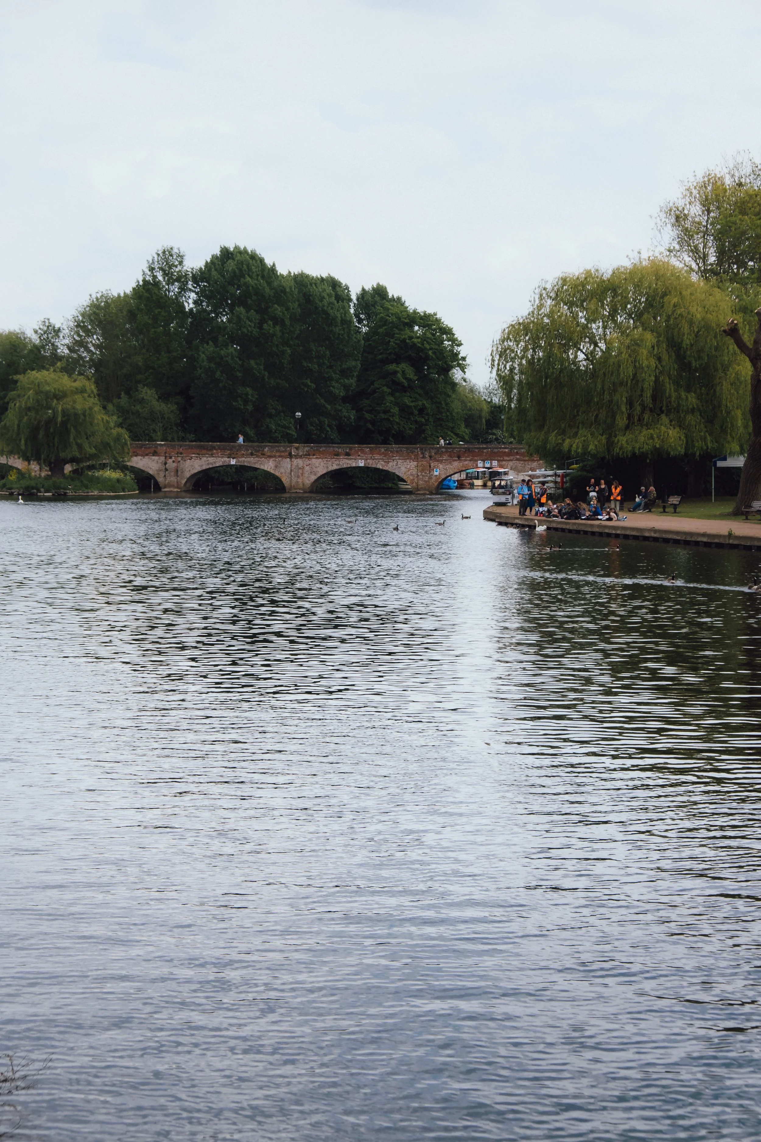 DSCF3398.jpg