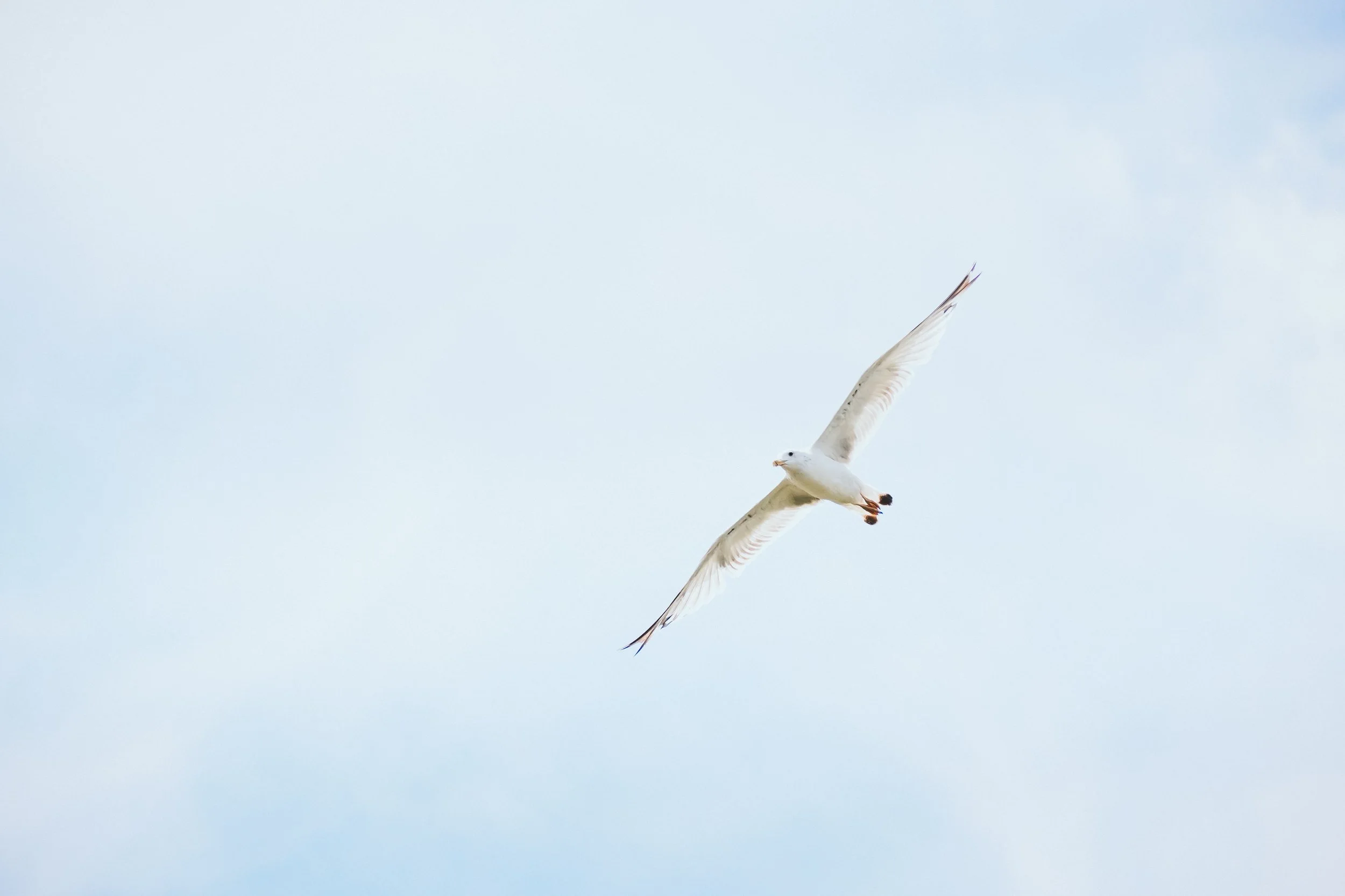 DSCF6252.jpg
