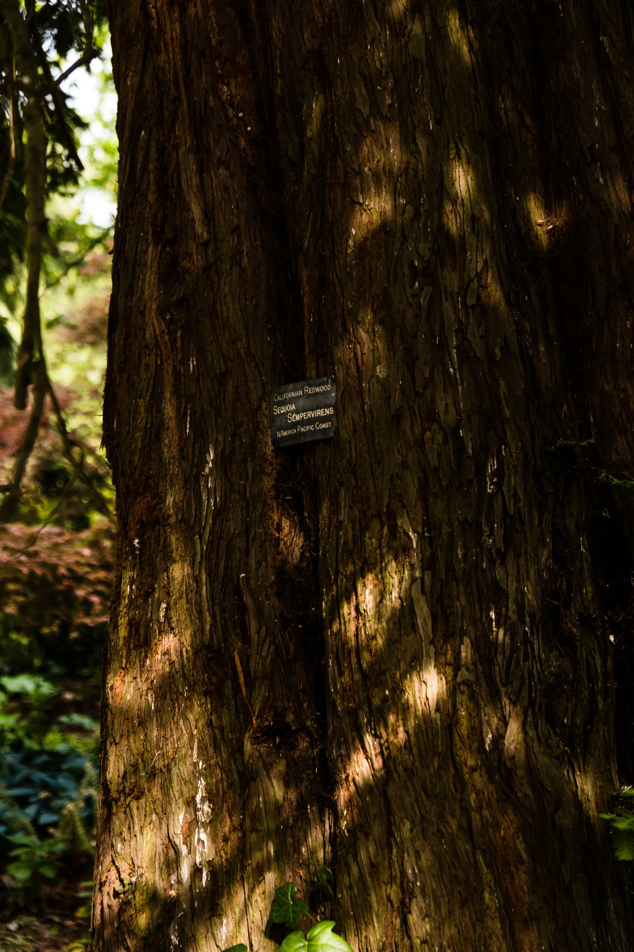 DSCF3751.jpg