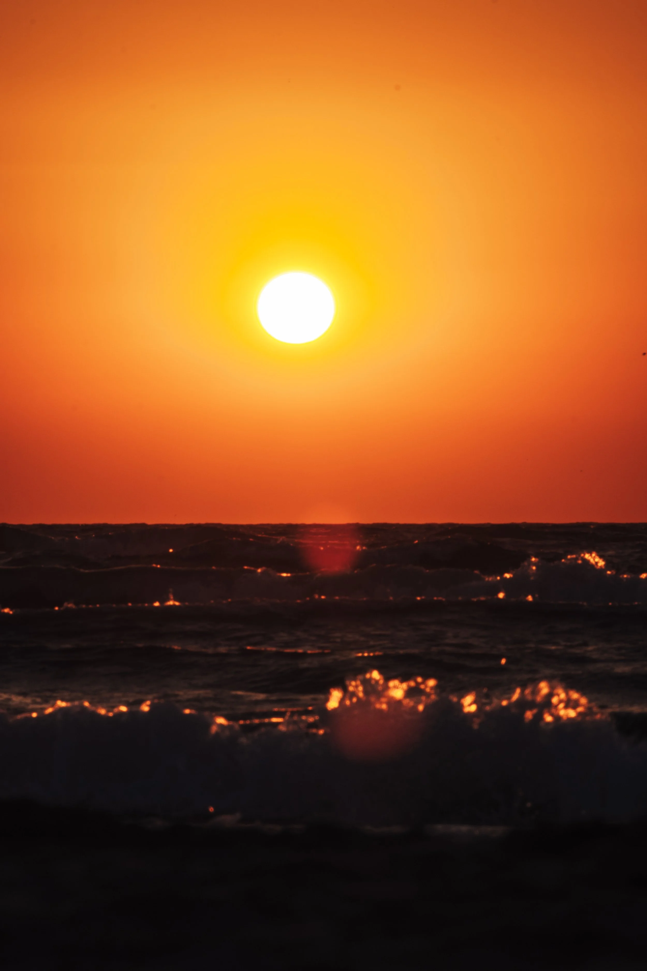 DSCF4237.jpg