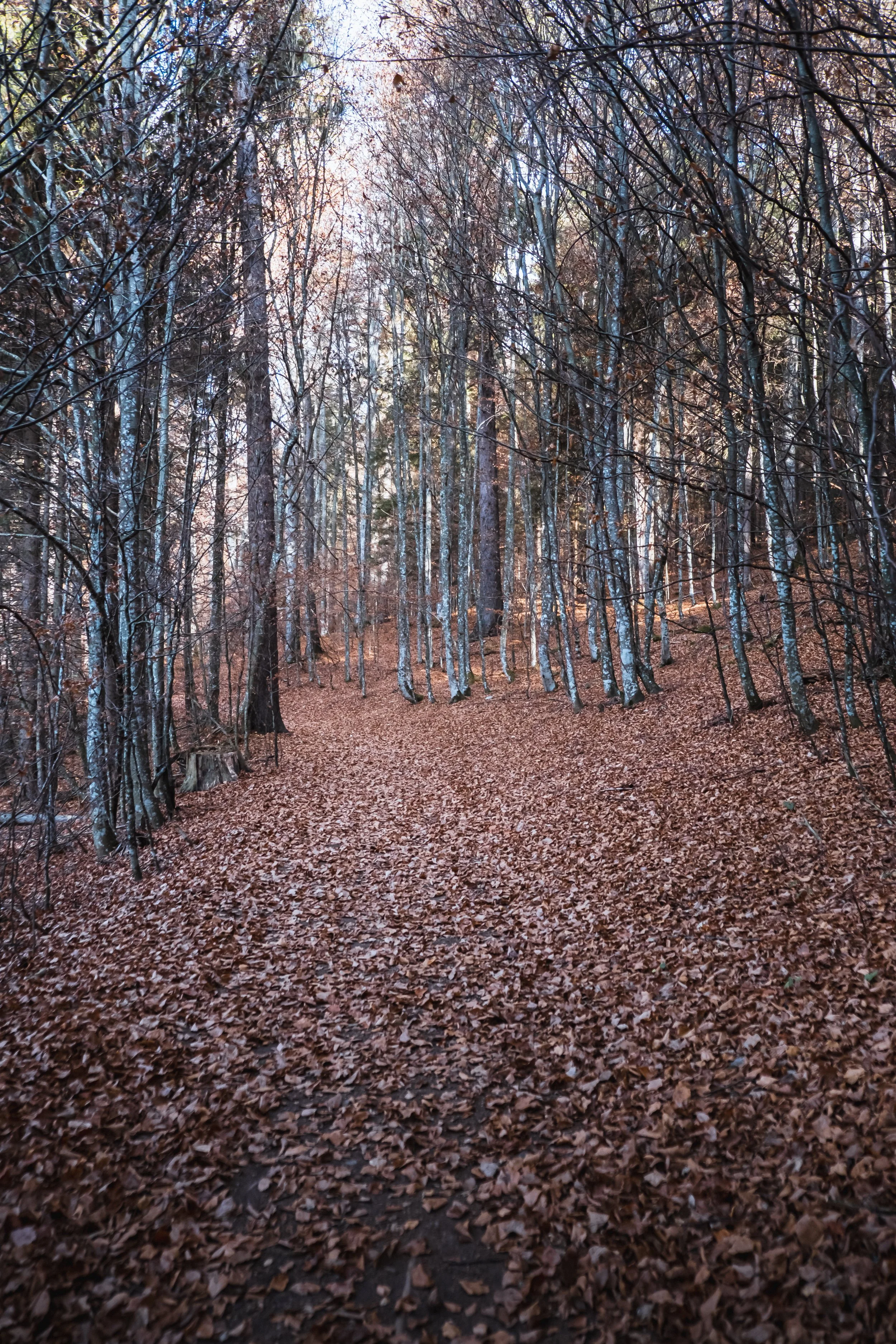 DSCF9432.jpg