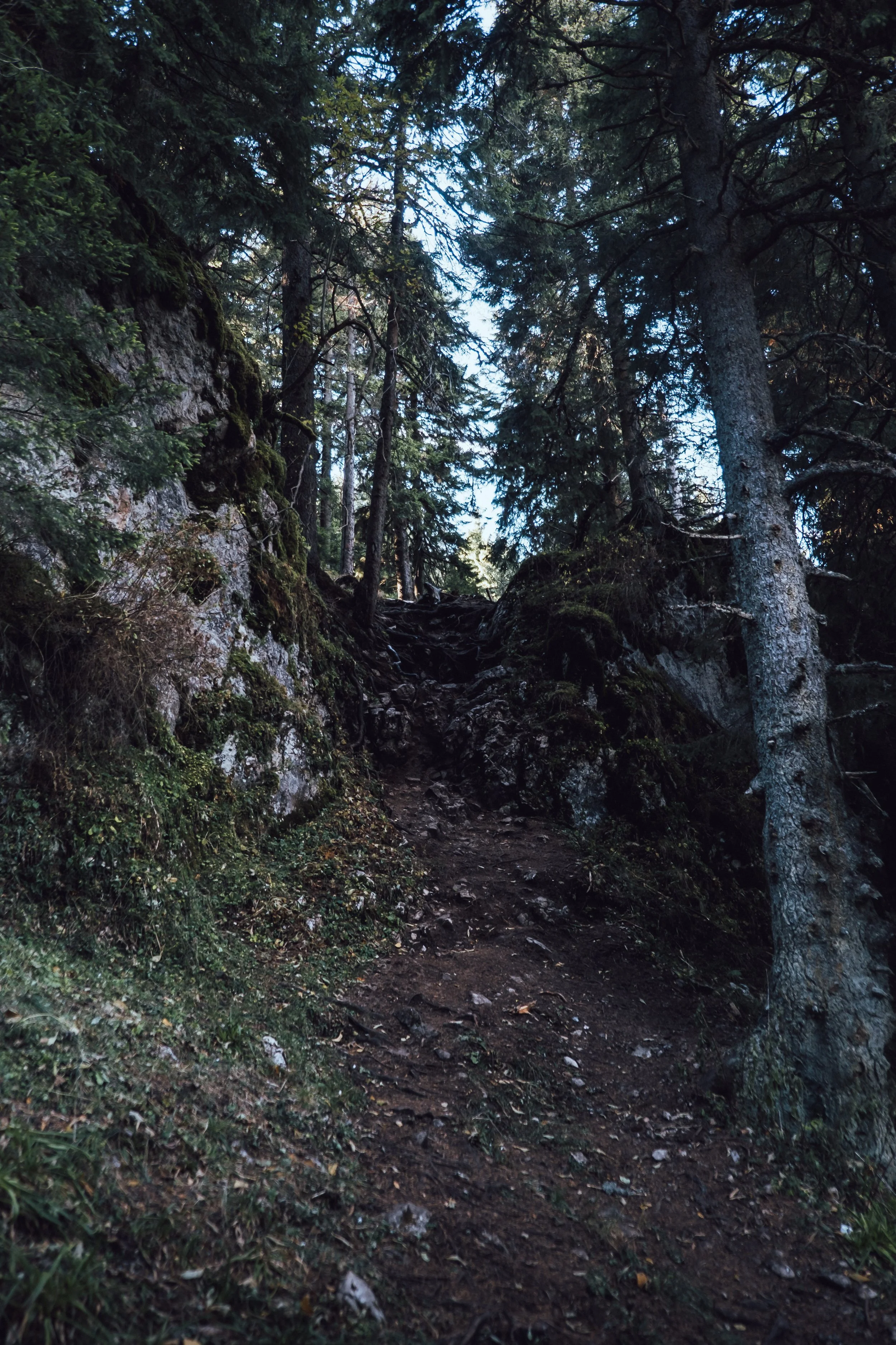 DSCF1431.jpg