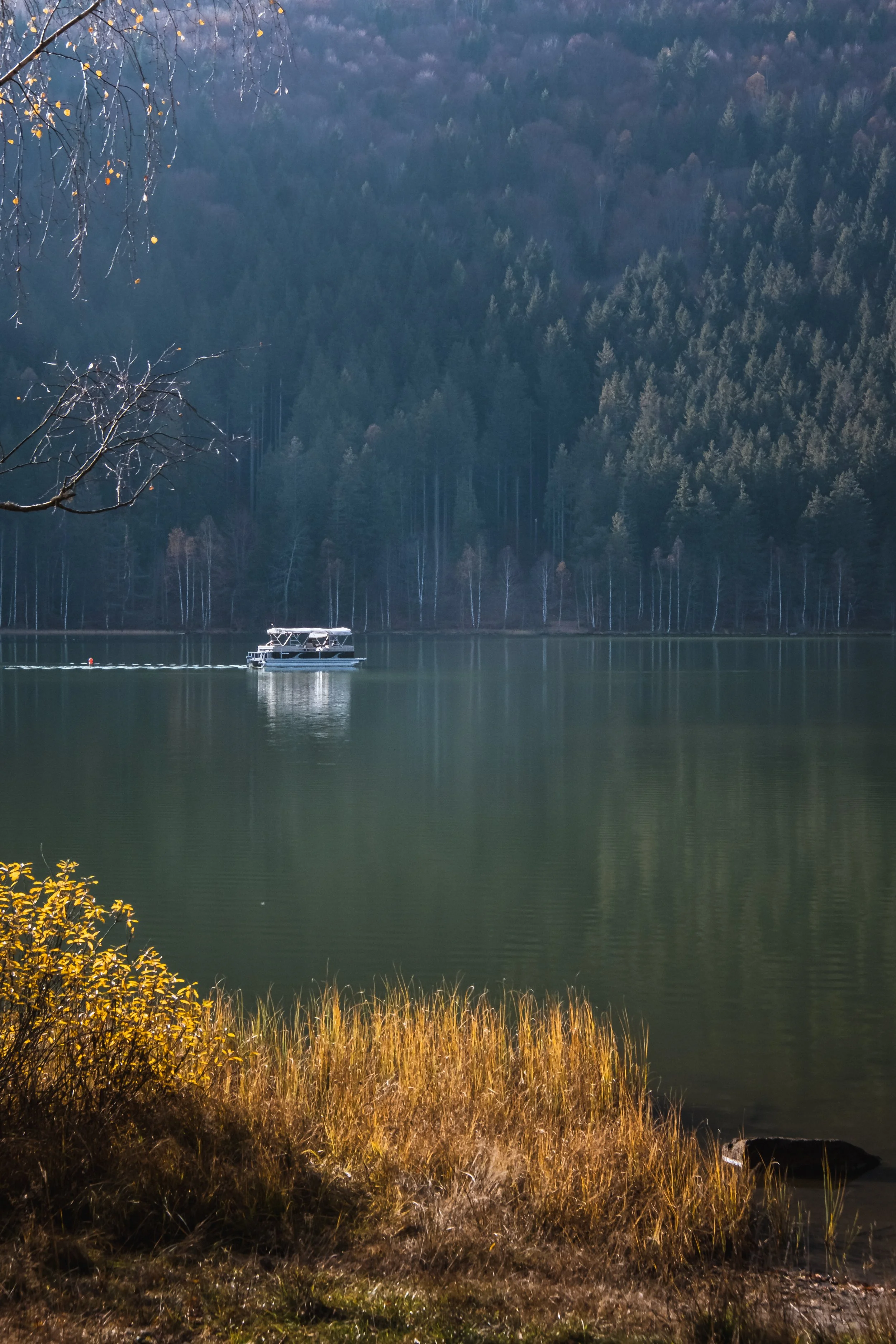 DSCF9440.jpg