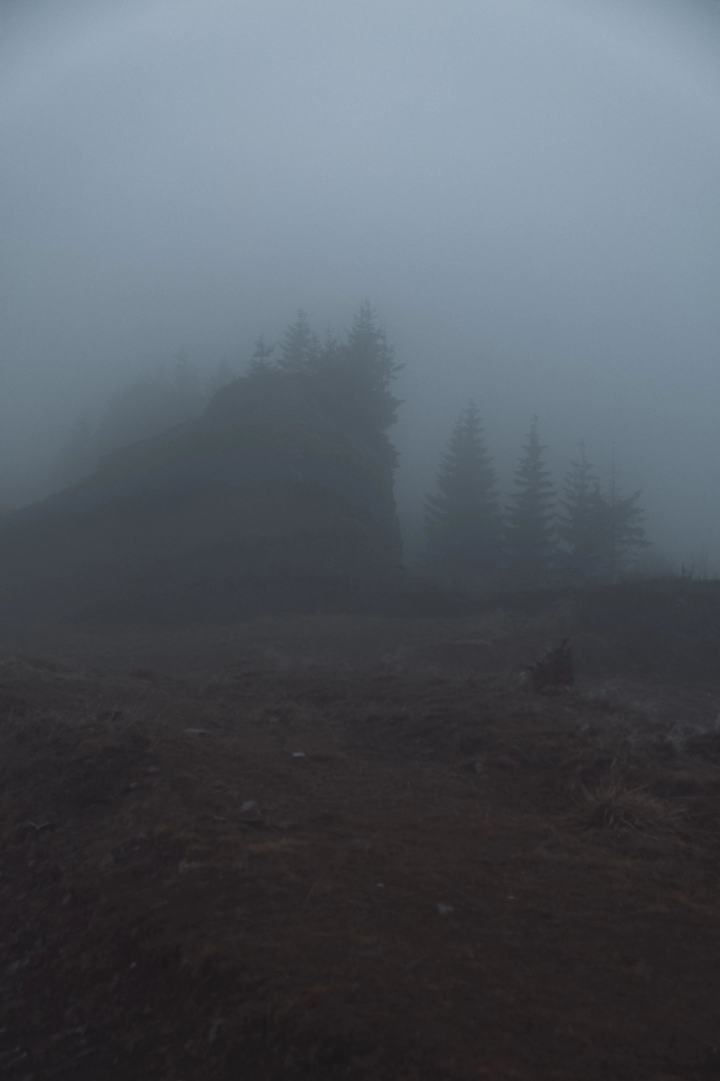 DSCF1086.jpg