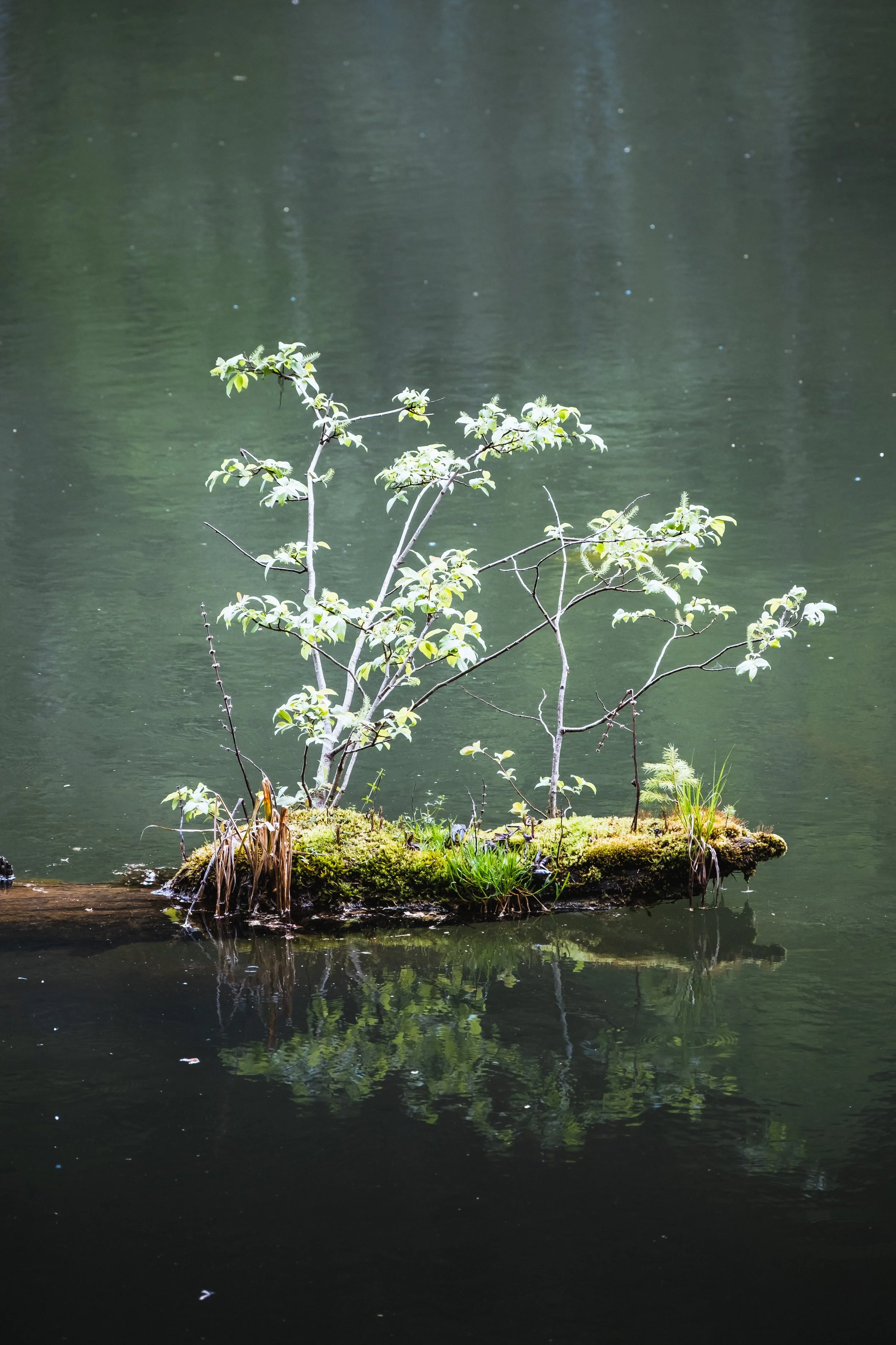 DSCF7691.jpg