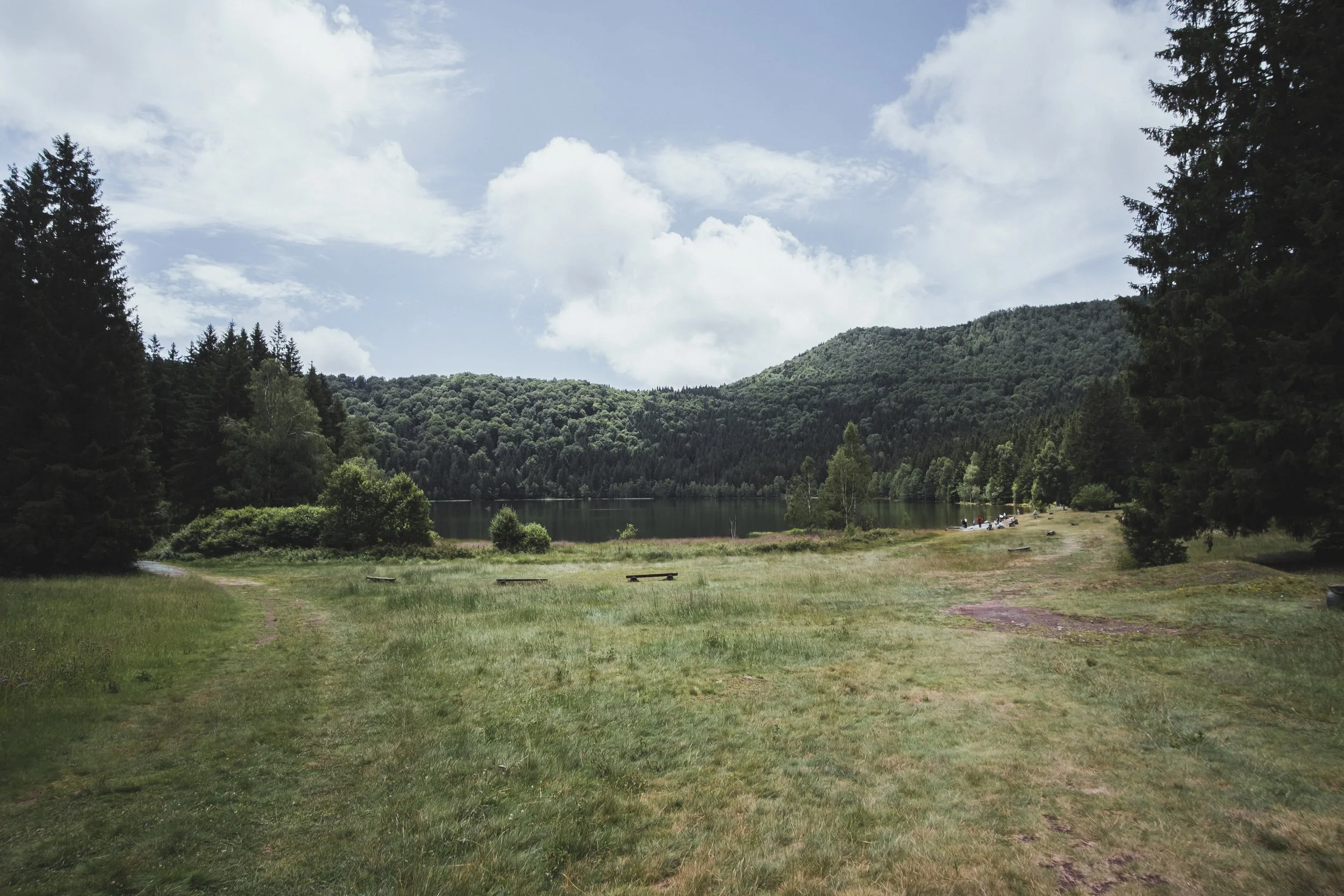DSCF9059.jpg