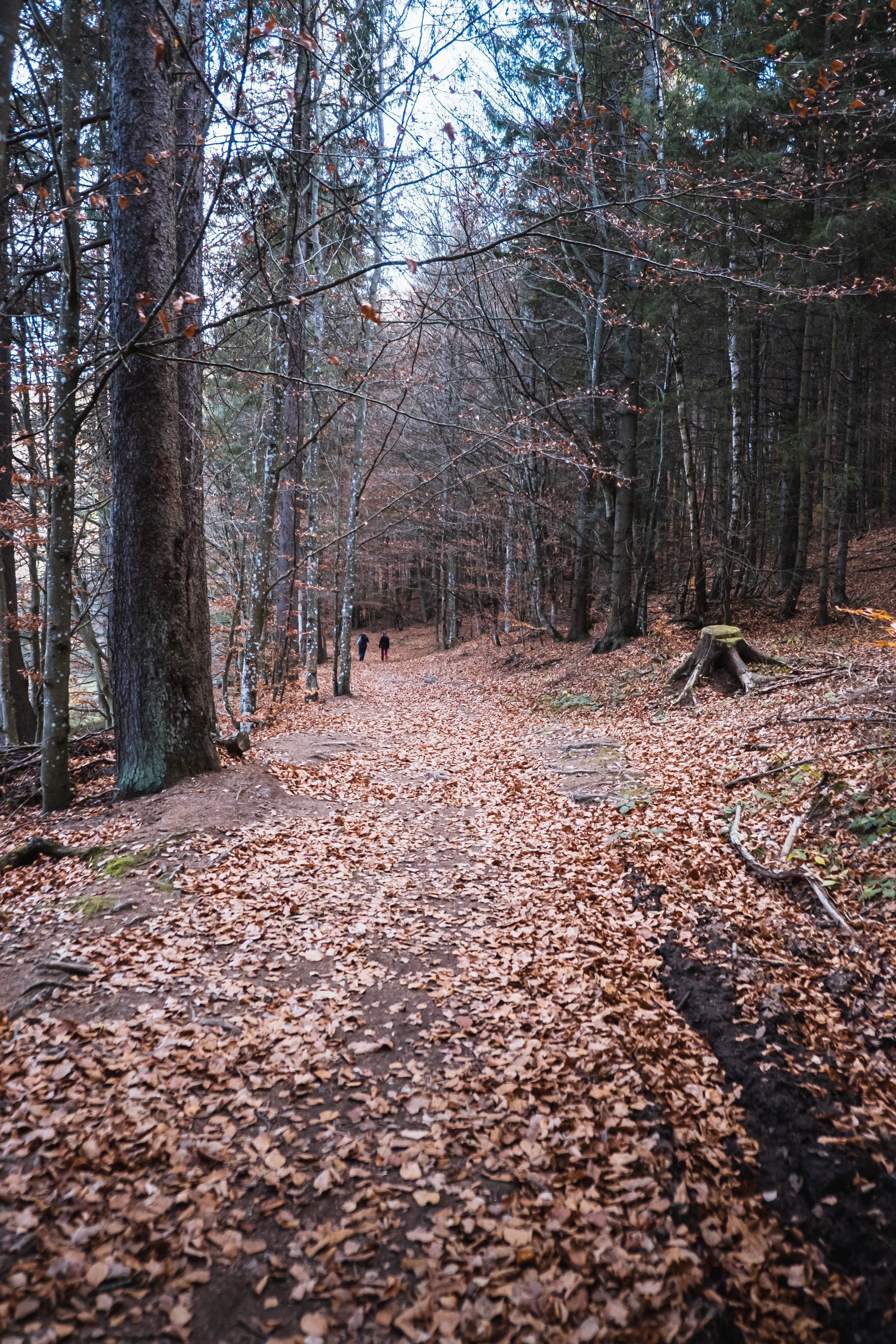 DSCF9407.jpg