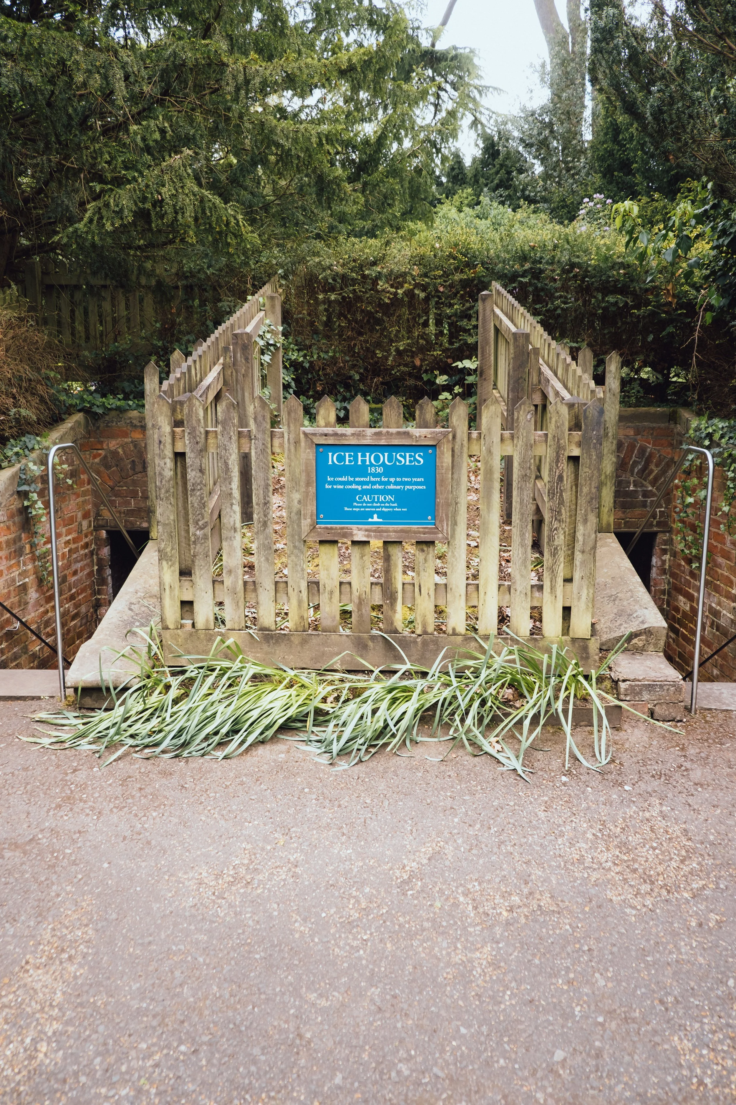 DSCF3213.jpg