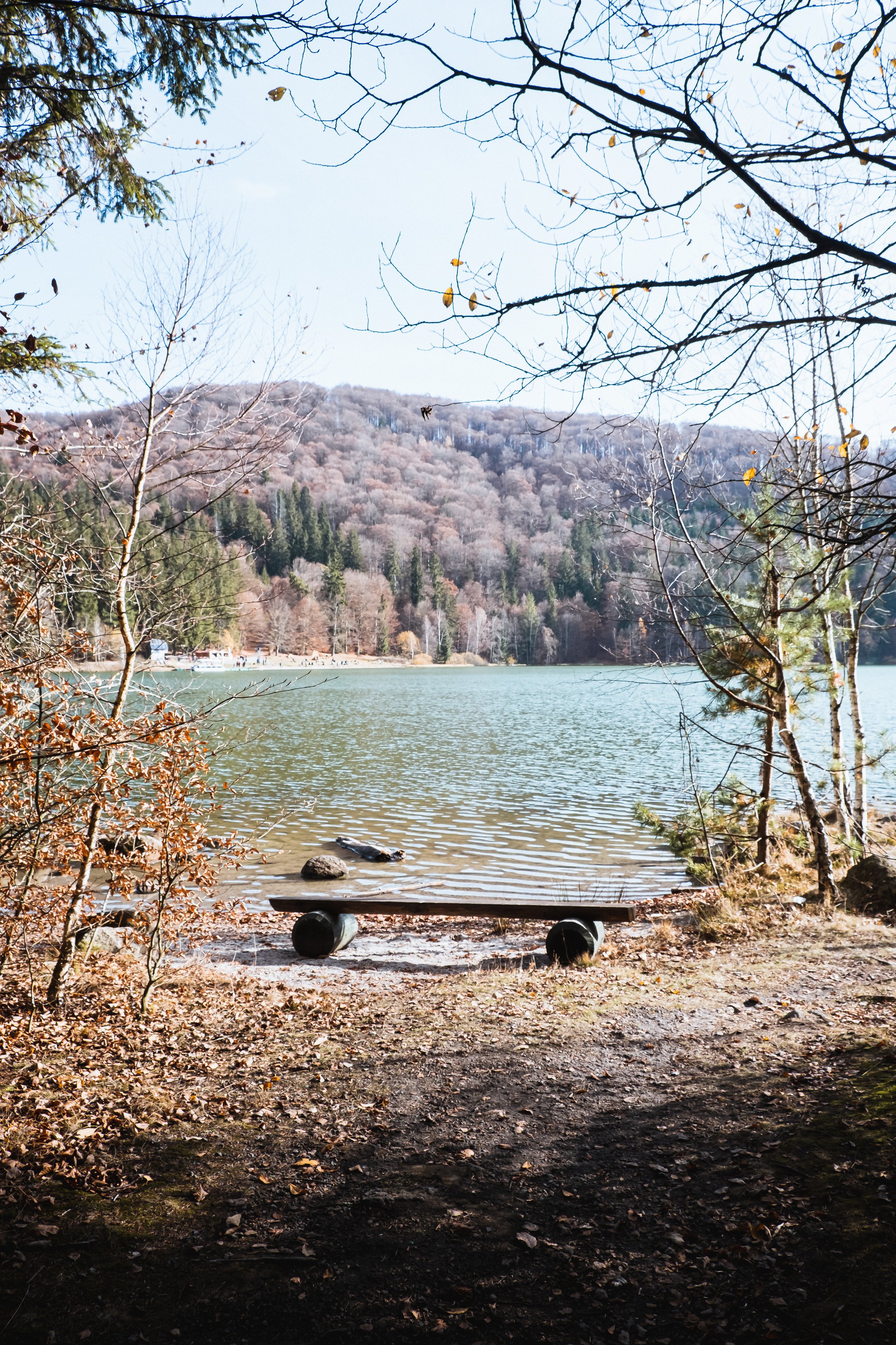 DSCF9365.jpg