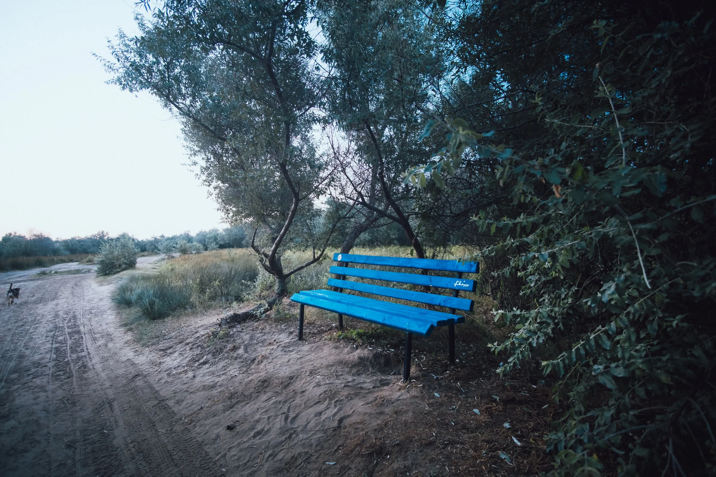 DSCF4209.jpg
