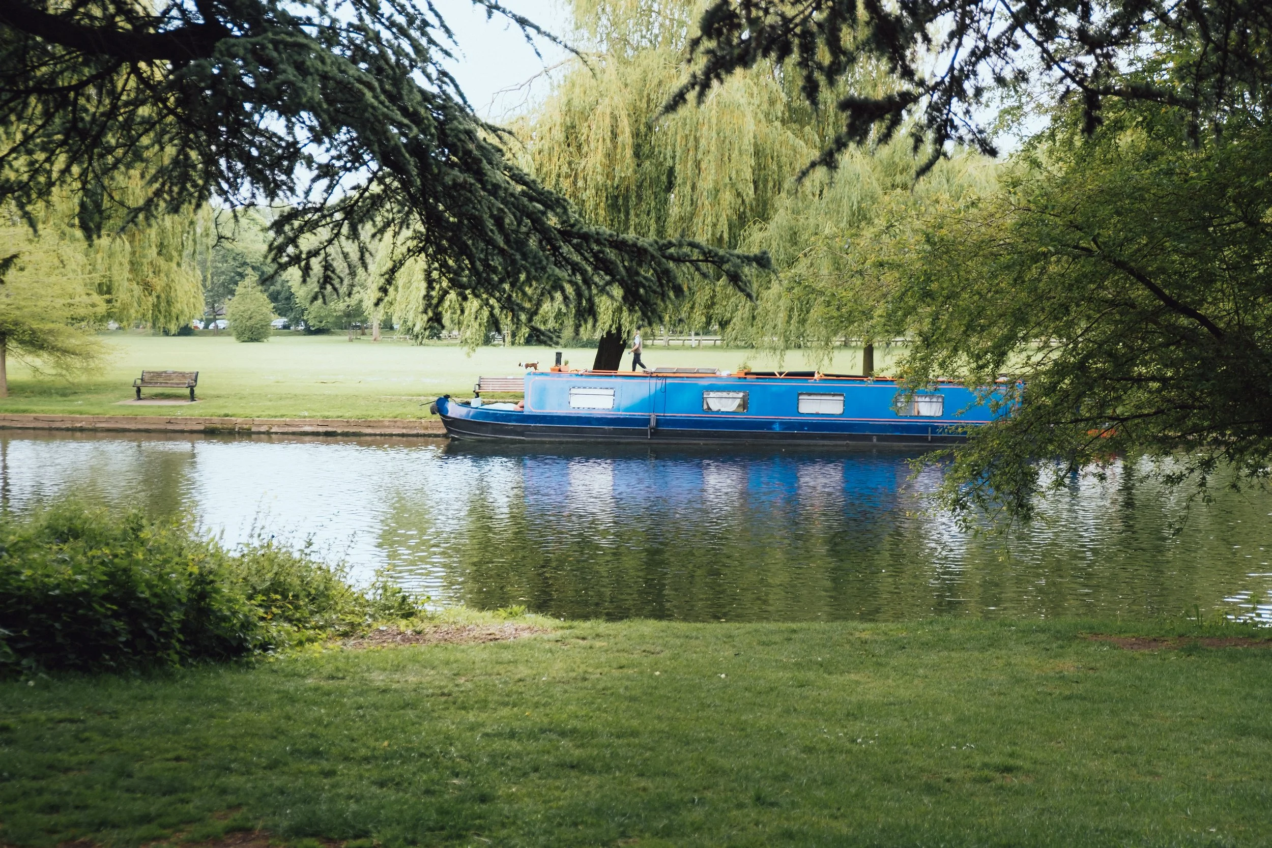 DSCF3556.jpg