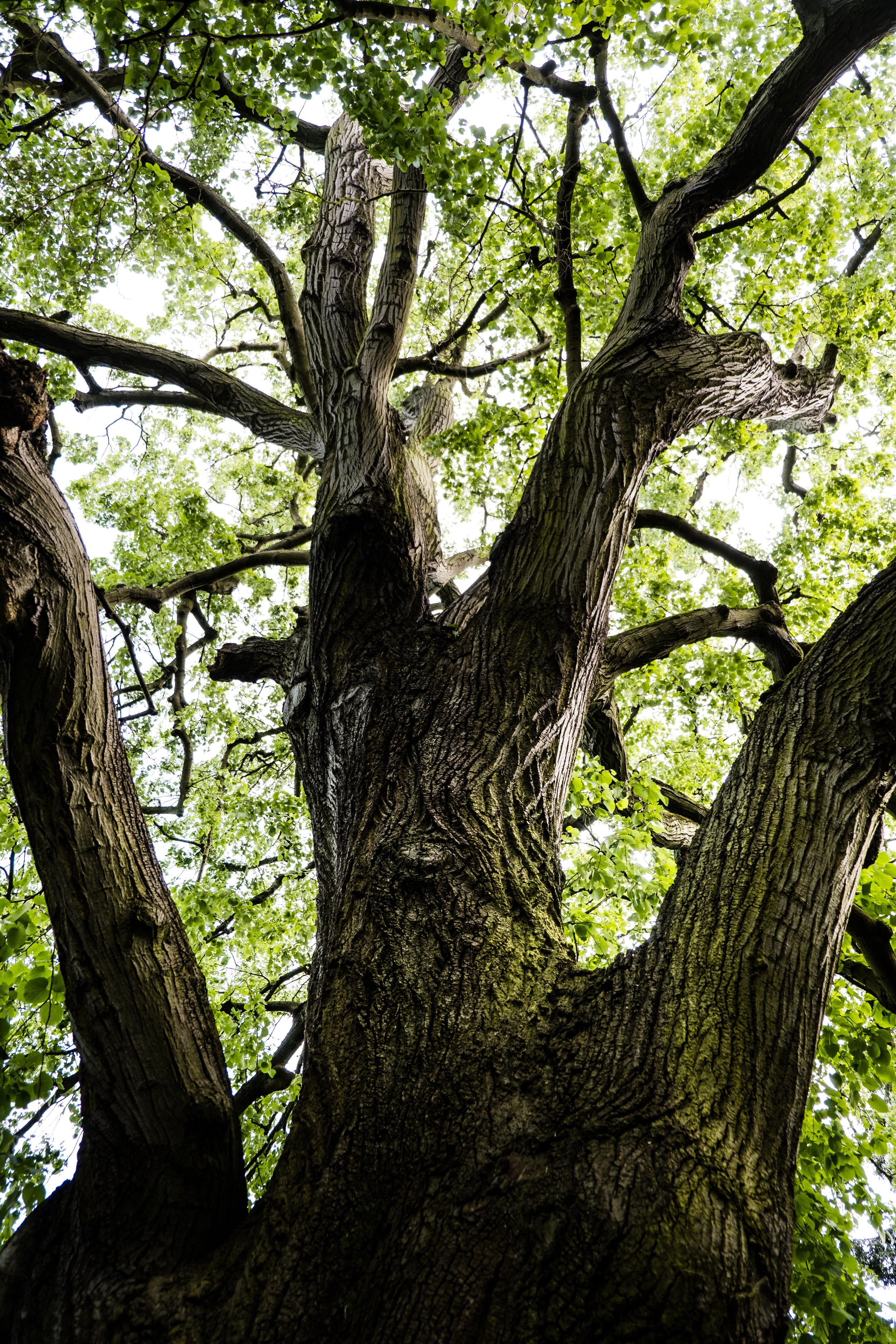 DSCF3818.jpg