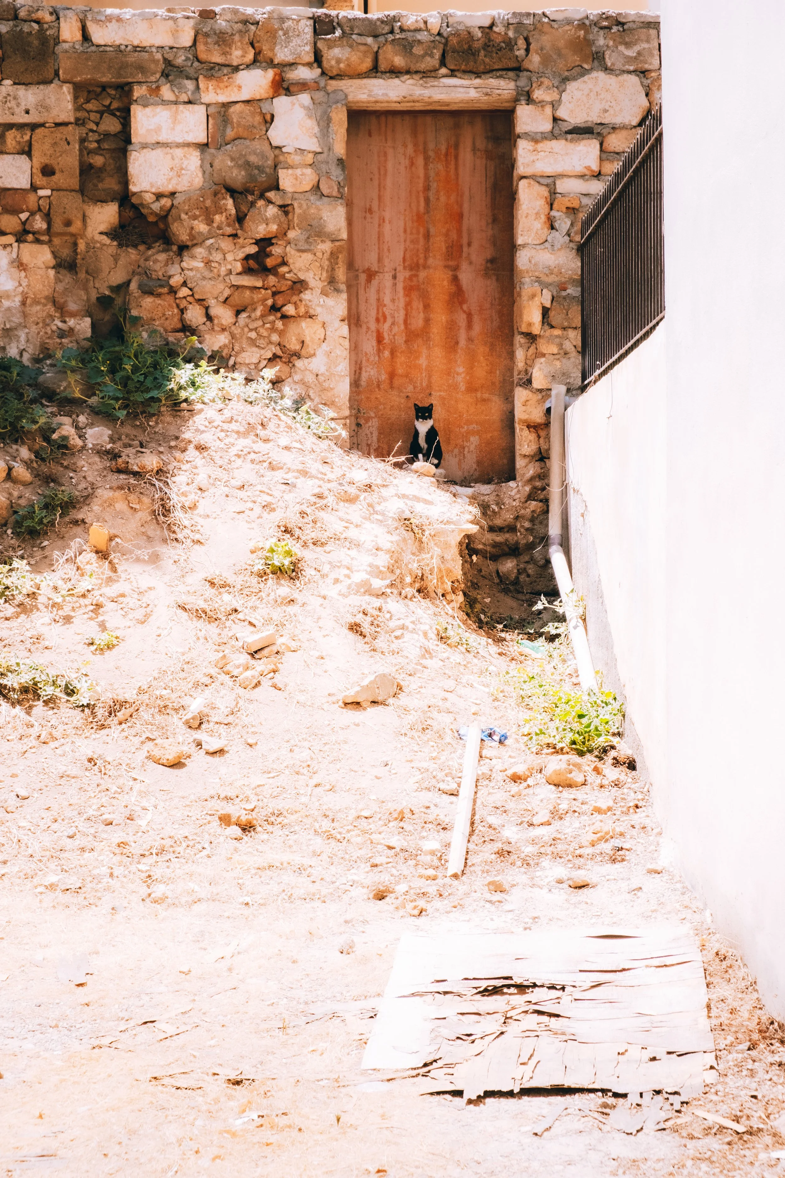 DSCF4367.jpg