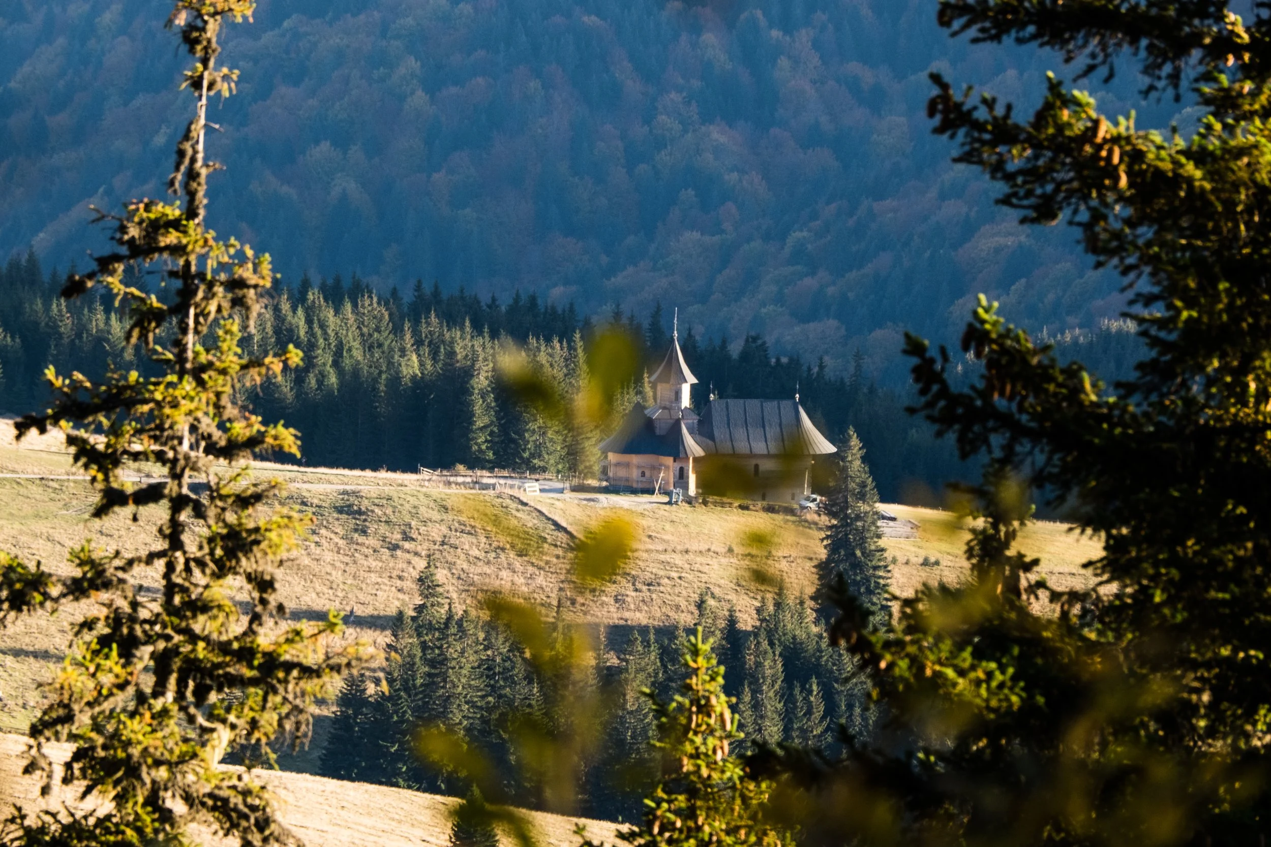 DSCF0635.jpg