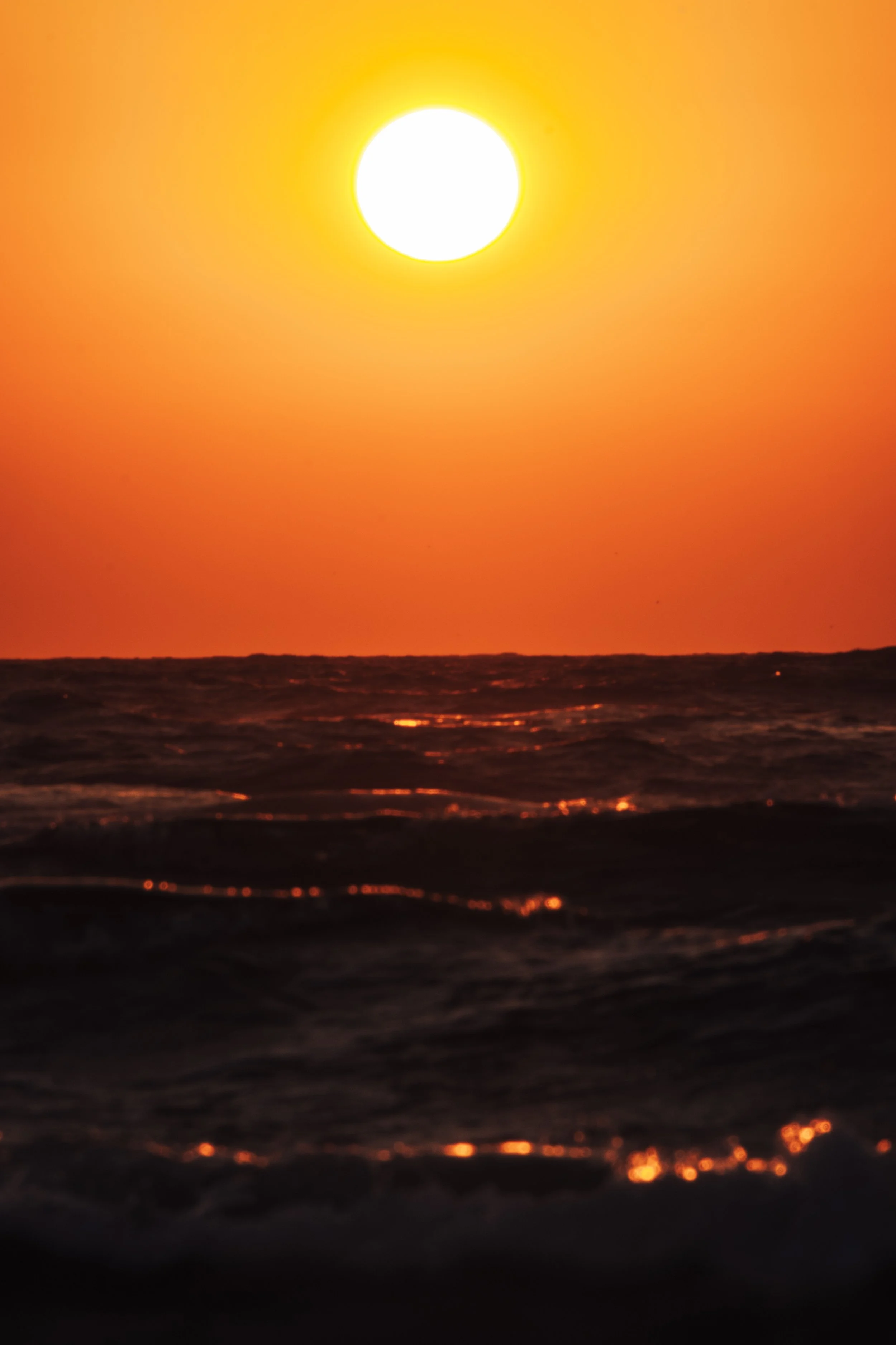DSCF4254.jpg