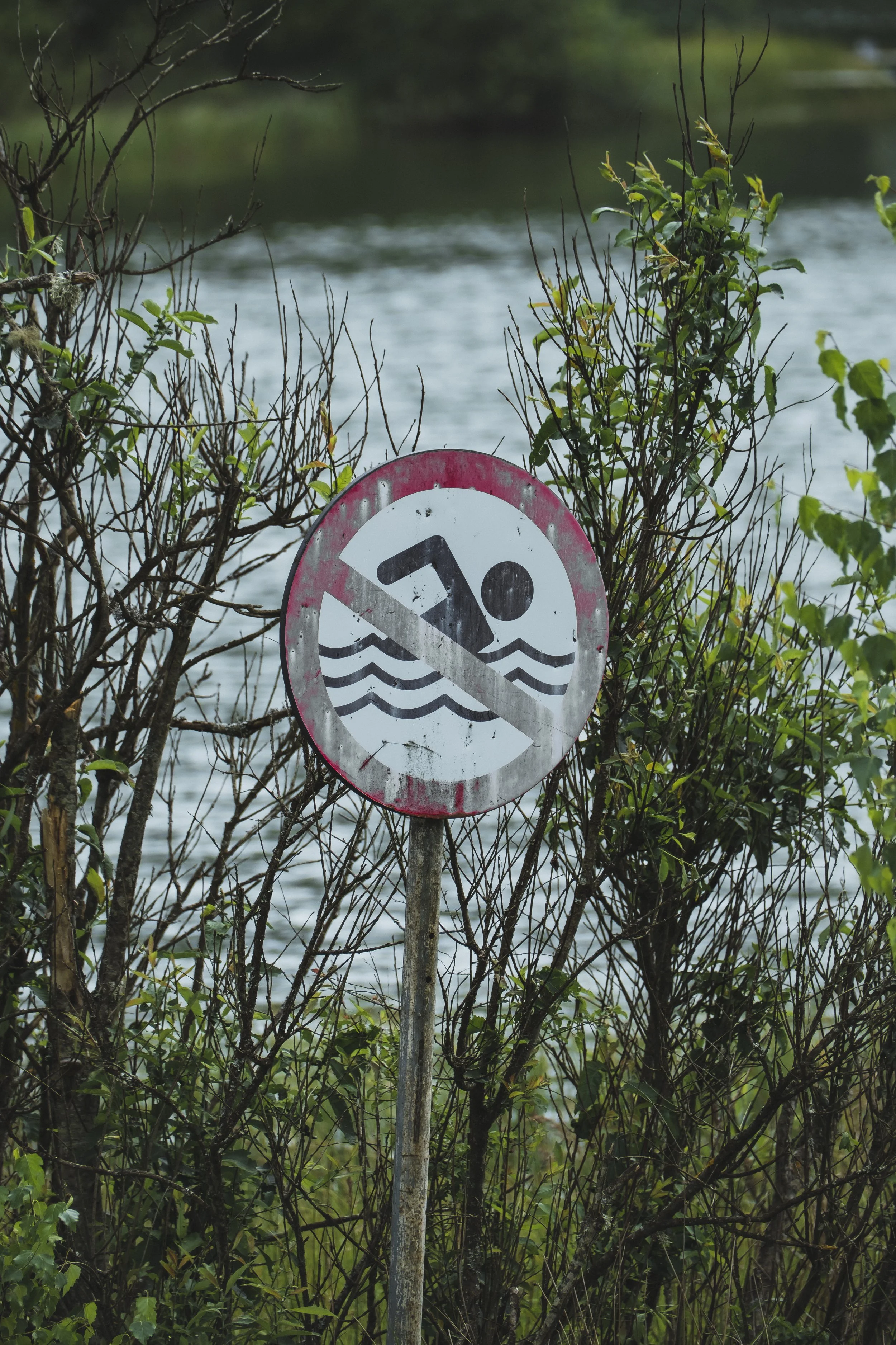 DSCF9076.jpg