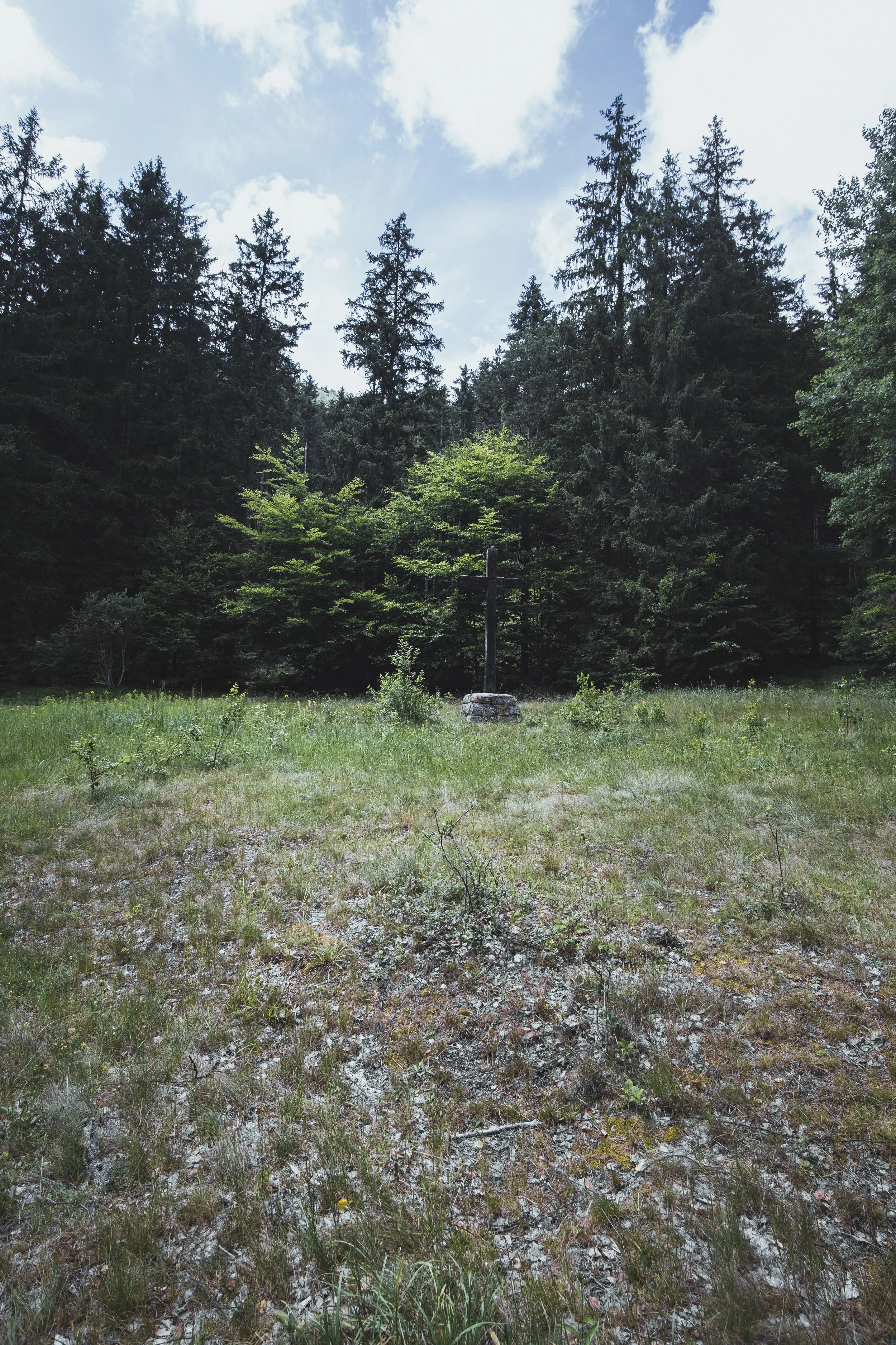 DSCF9115.jpg