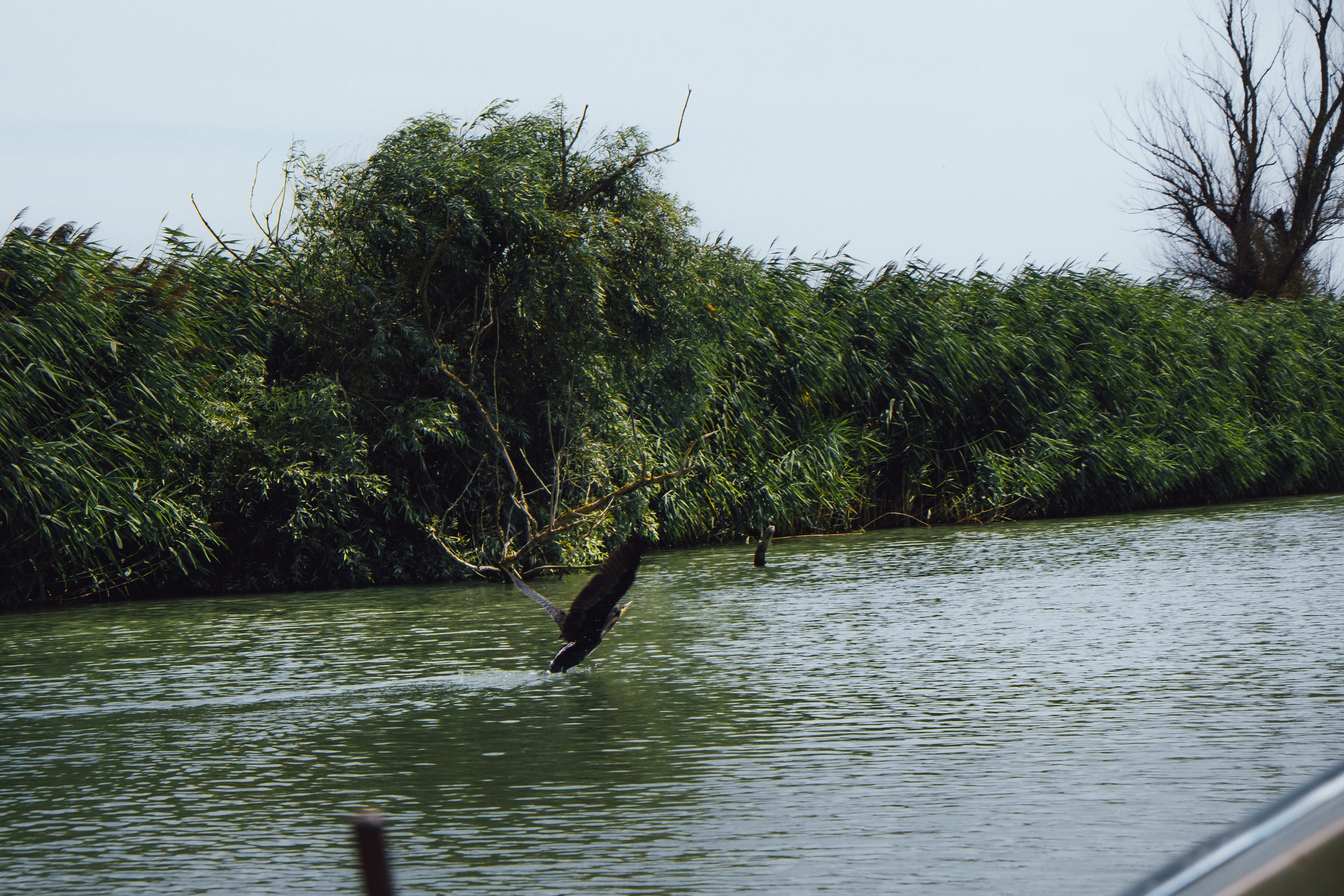 DSCF6119.jpg