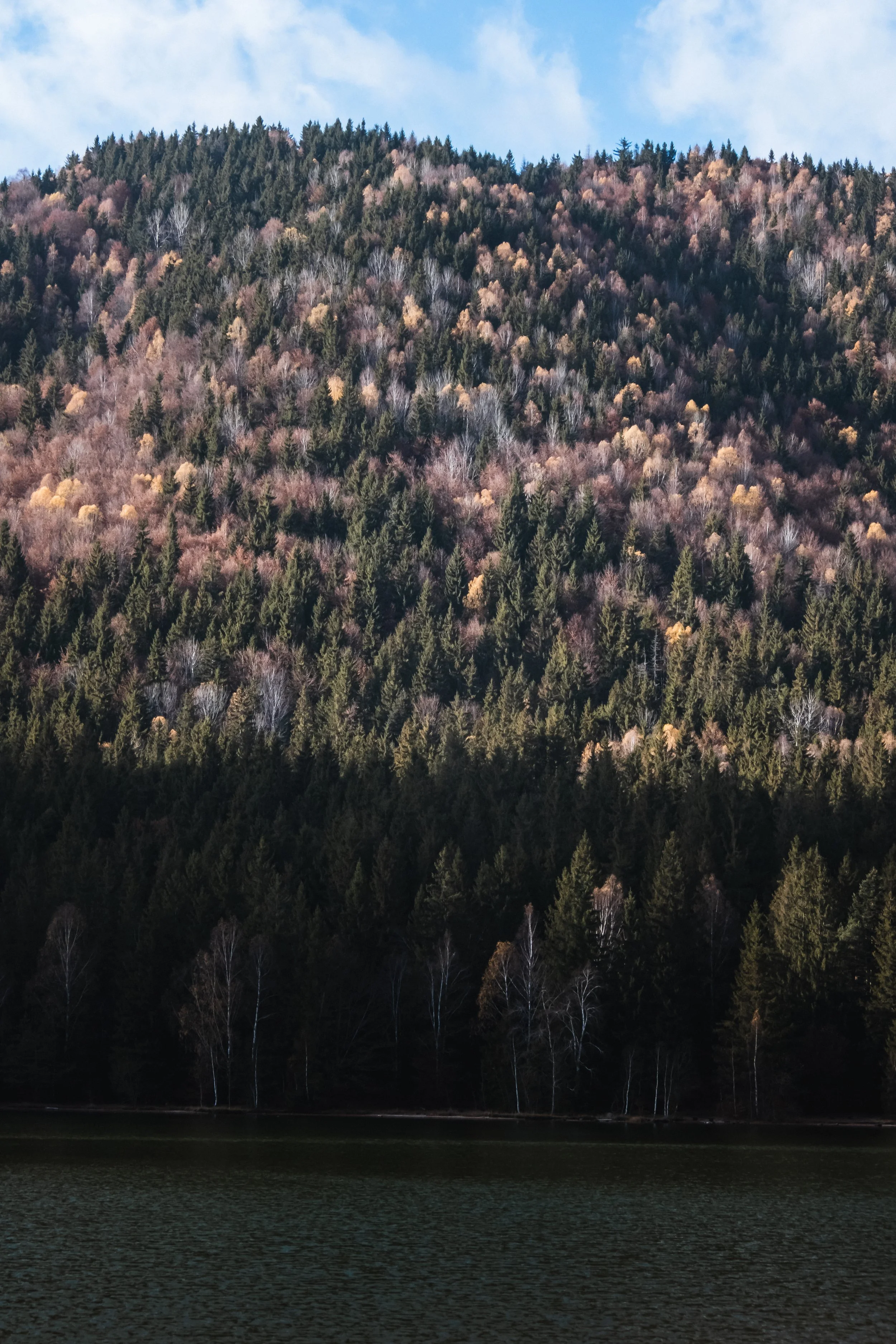 DSCF9553.jpg