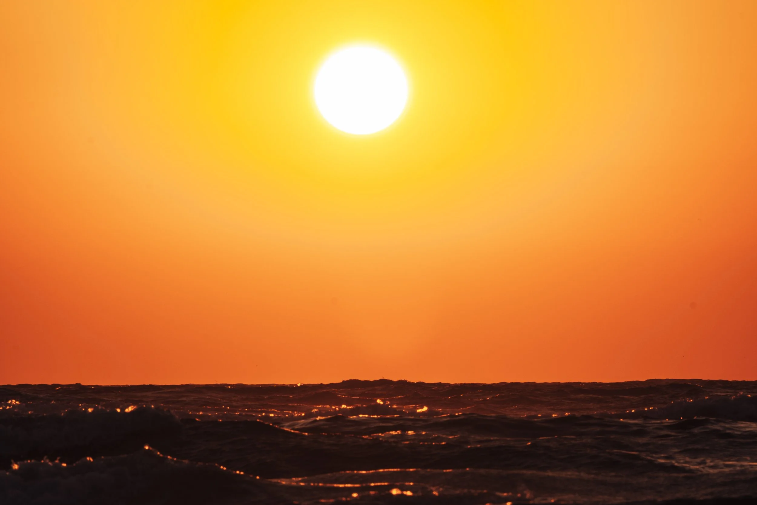 DSCF4274.jpg