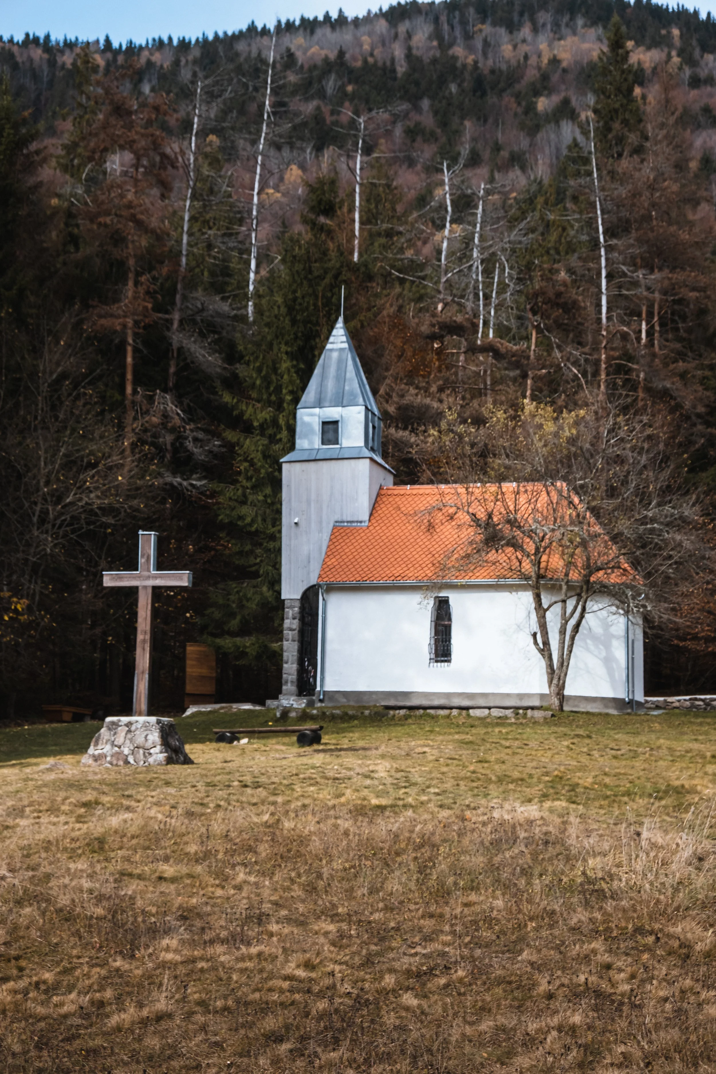 DSCF9311.jpg