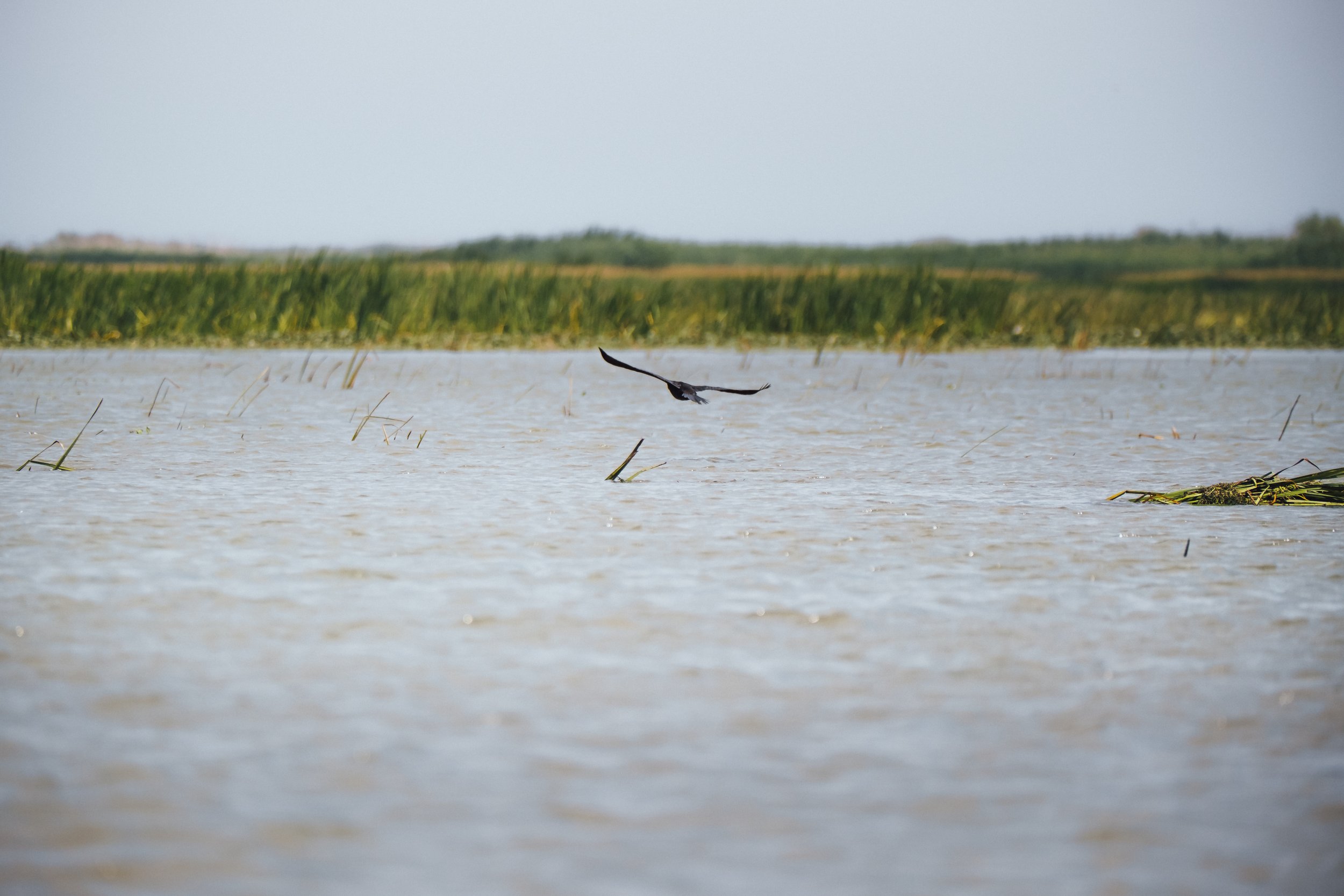 DSCF6630.jpg