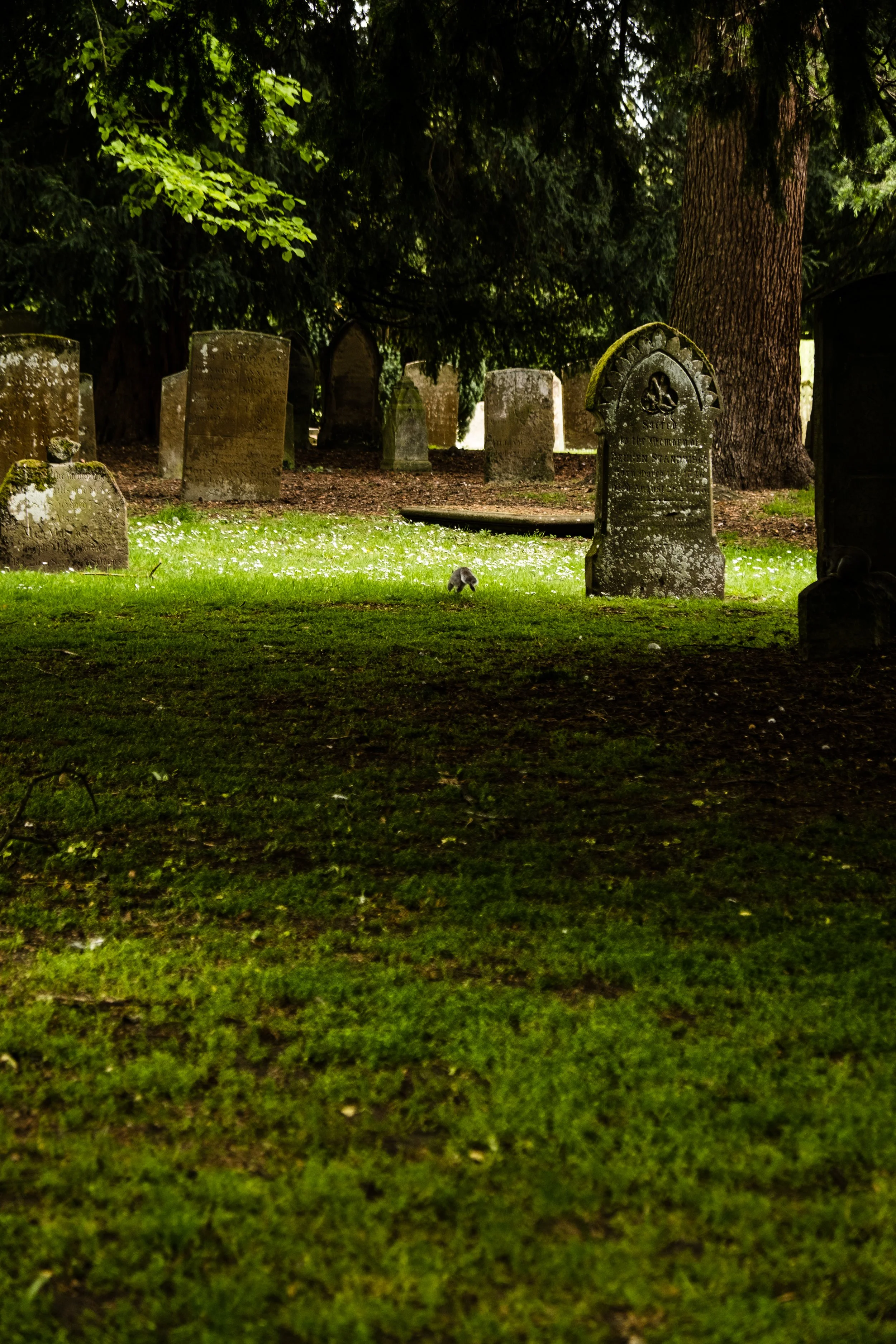 DSCF3450.jpg