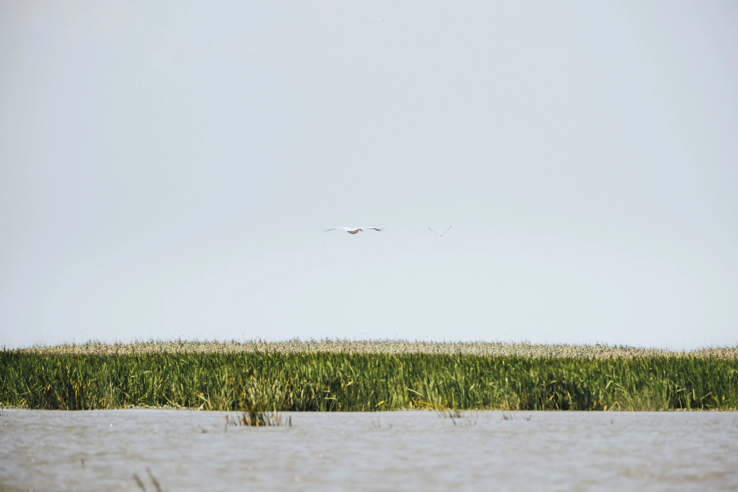 DSCF6872.jpg