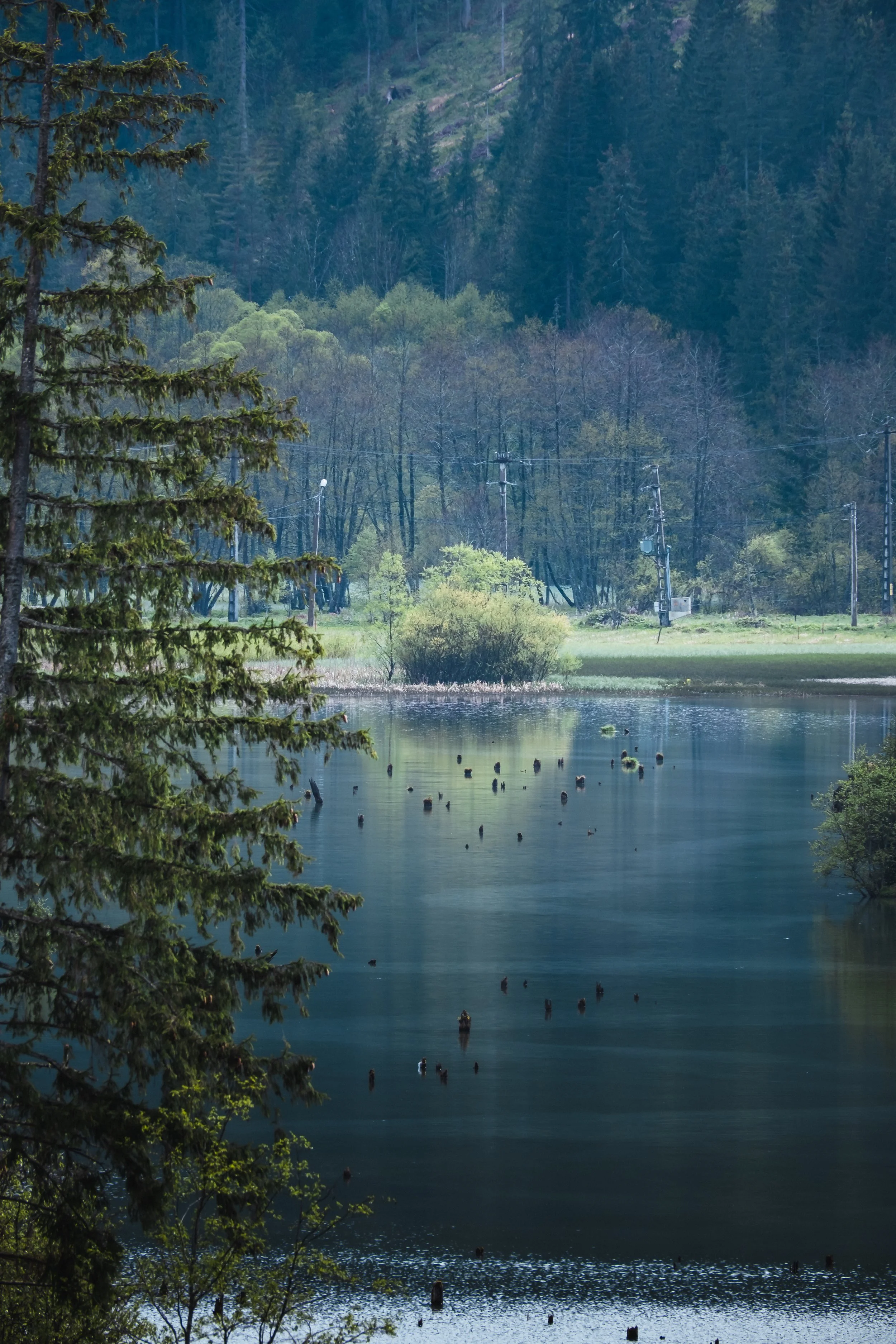 DSCF7739.jpg