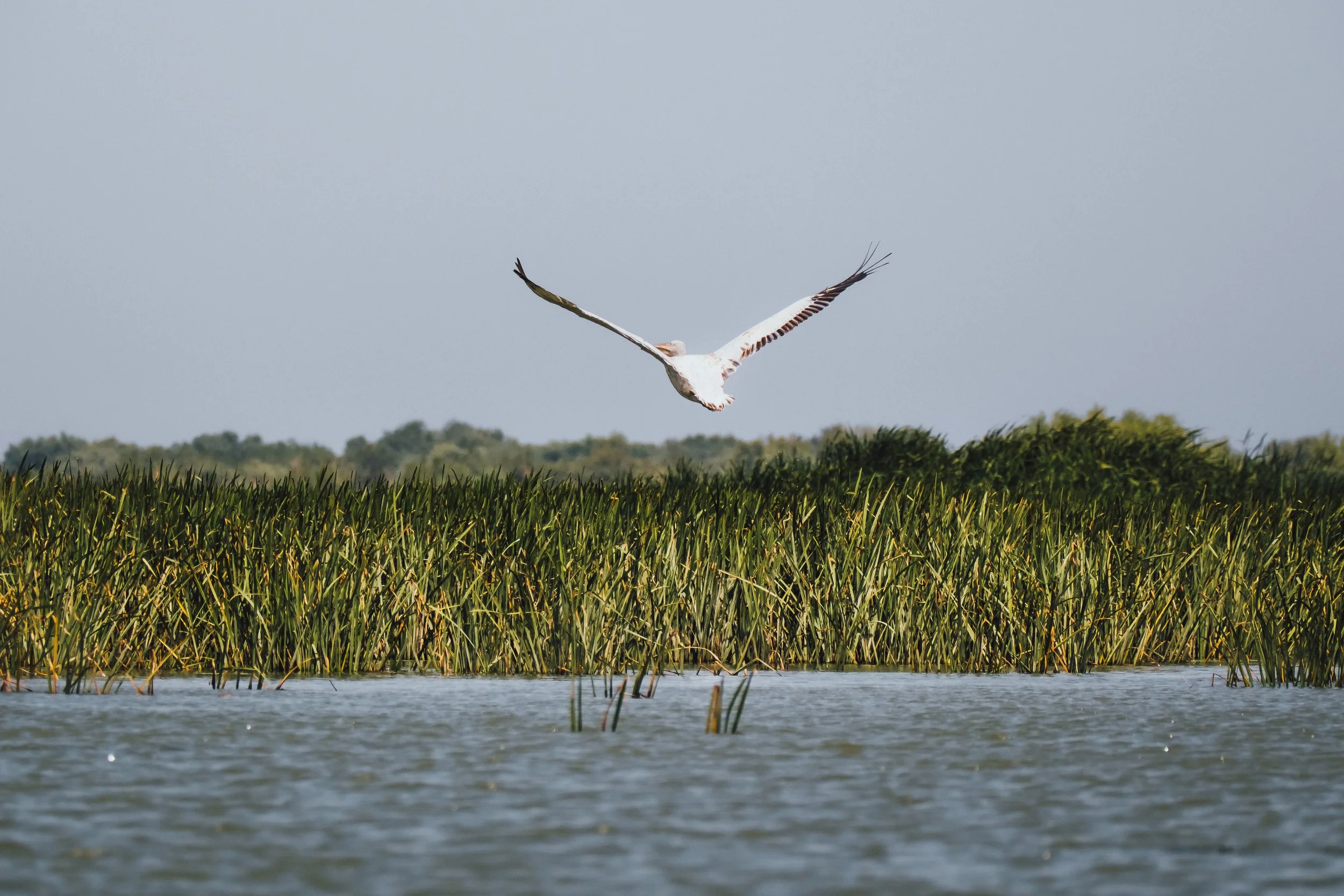 DSCF7480.jpg