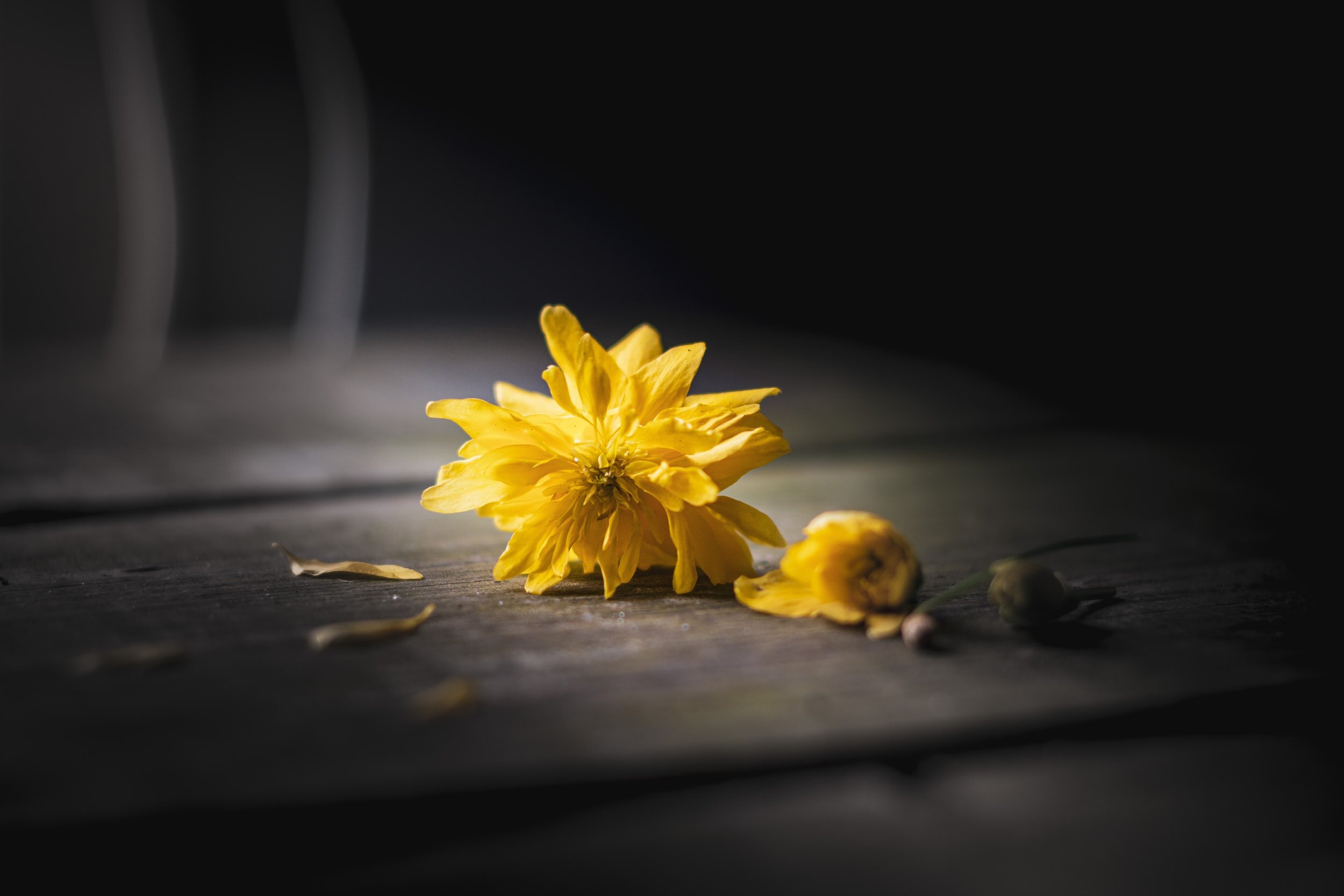 Addiction and the Paradoxical Theory of Change